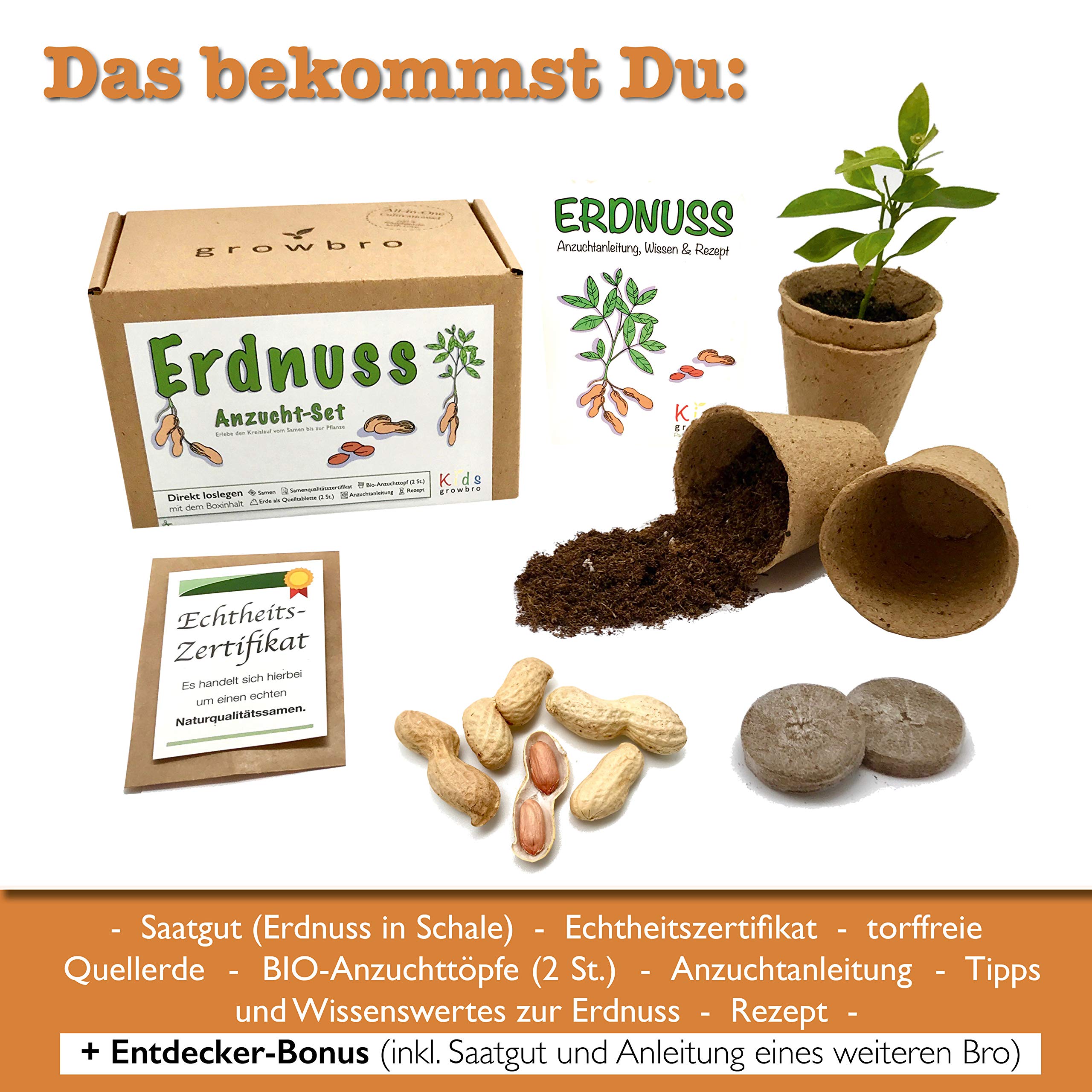 growbro Kids | Cultivo Juego de Cacahuete Planta | responsabilidad ...