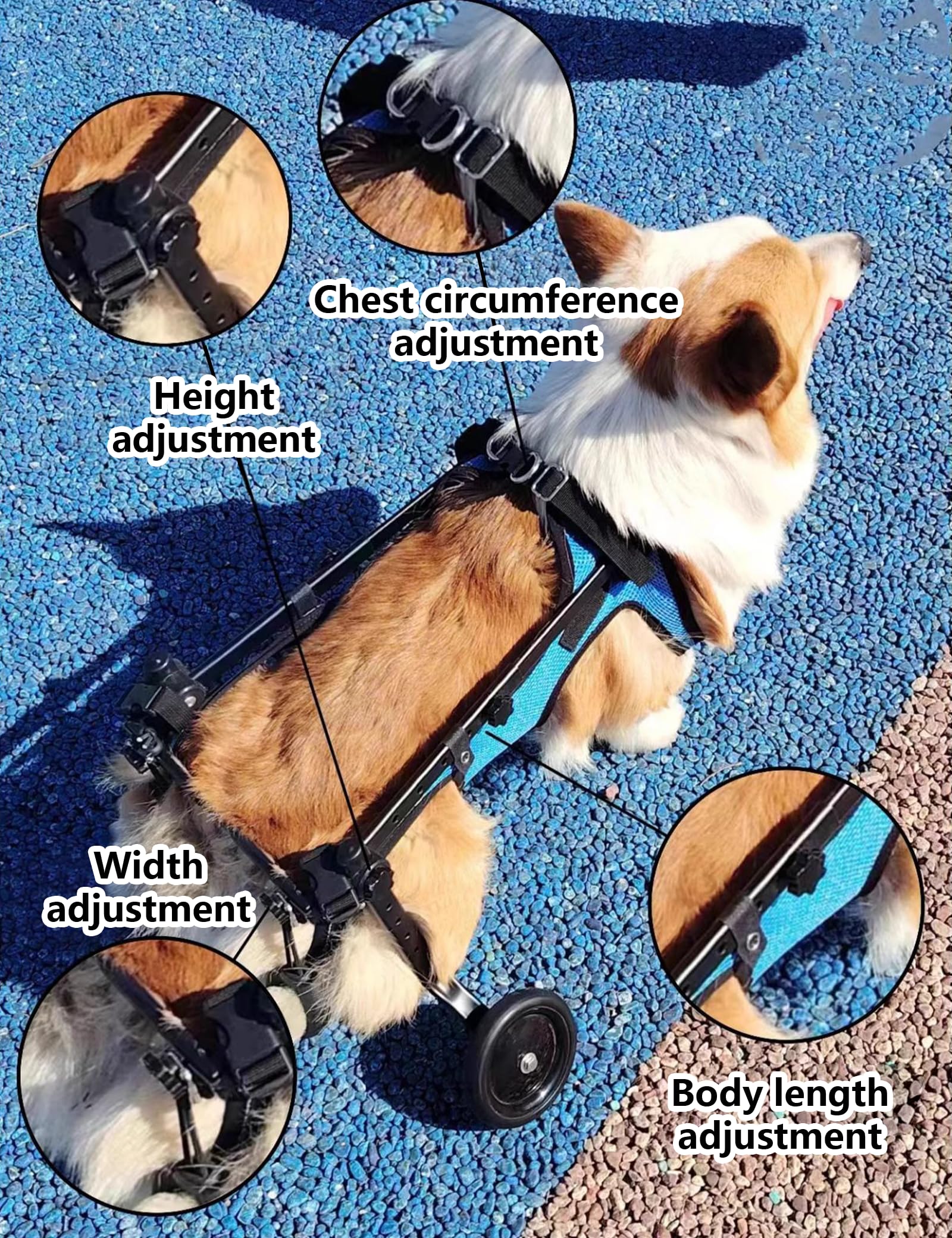 Hunderollstuhl für Hinterbeine, Verstellbarer Hunde Rollstuhl für Kleine Hunde, Leichtgewichtiger Hinterbeine zur Rehabilitation, Mobilitätshilfe für Haustiere