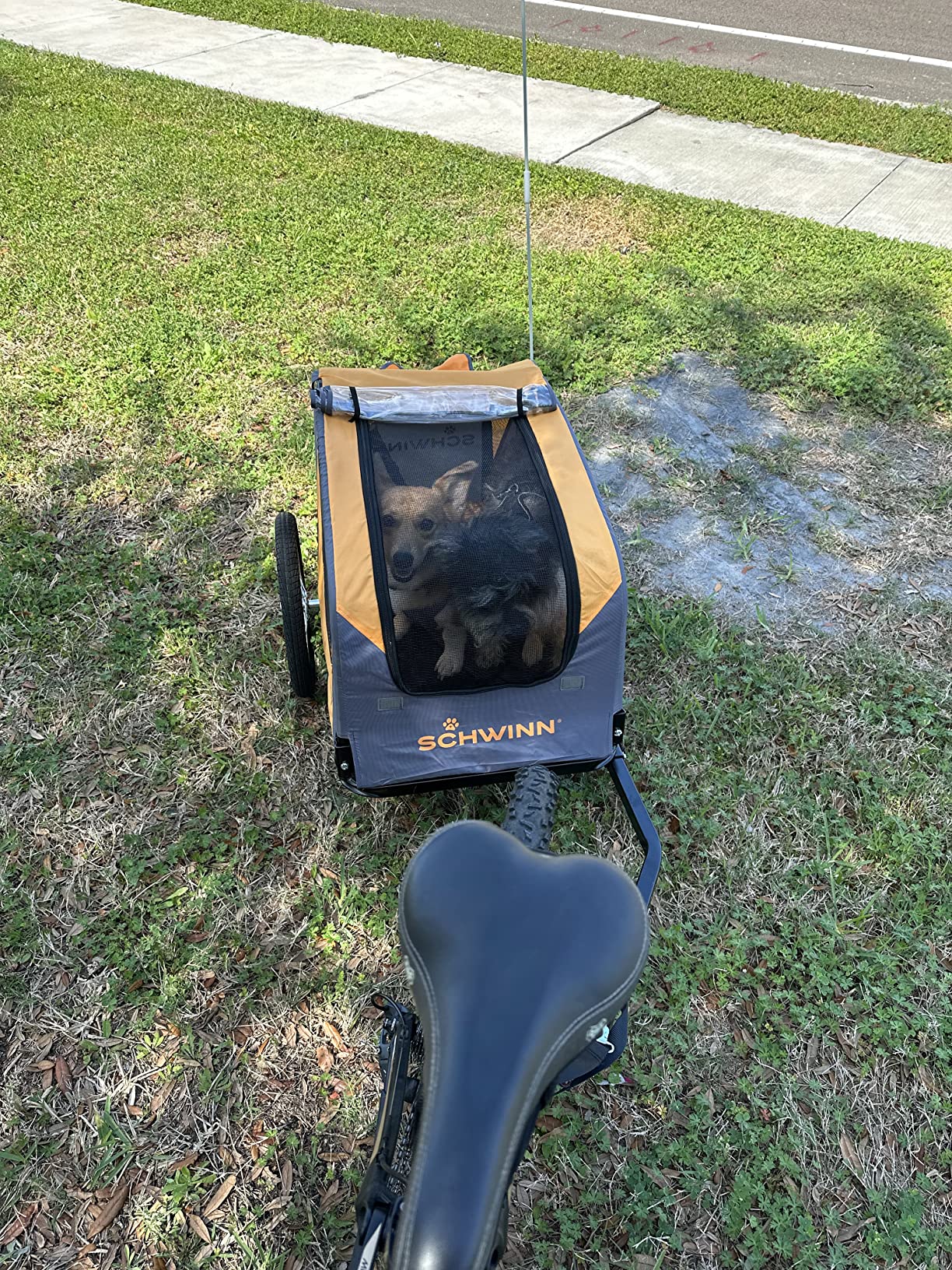 38/mo Finance Schwinn Rascal Bike Pet Trailer, For Small and Large