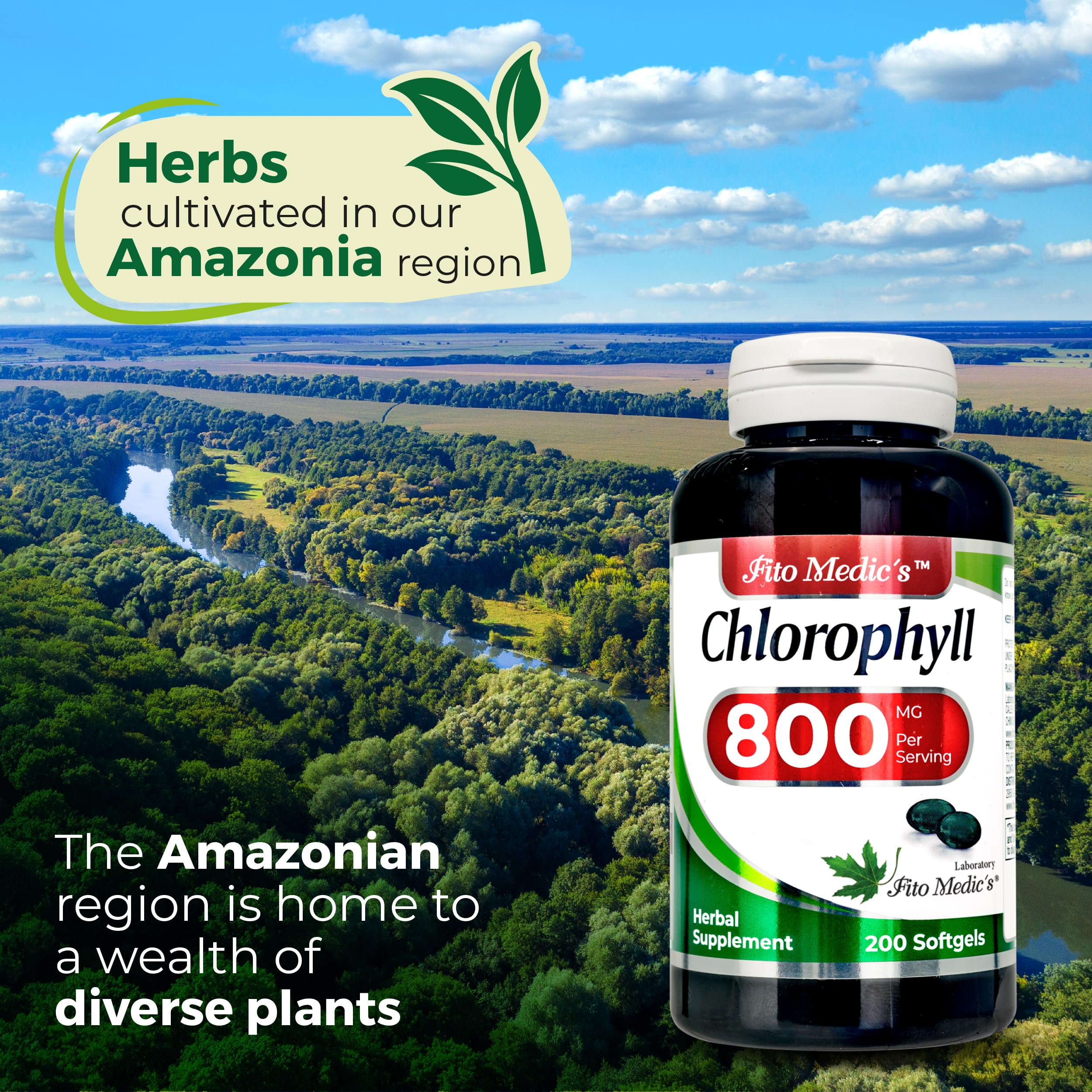 Lab | chlorophyll | chlorophyll pills | 200 Softgels | clorofila. — Amazon image 6