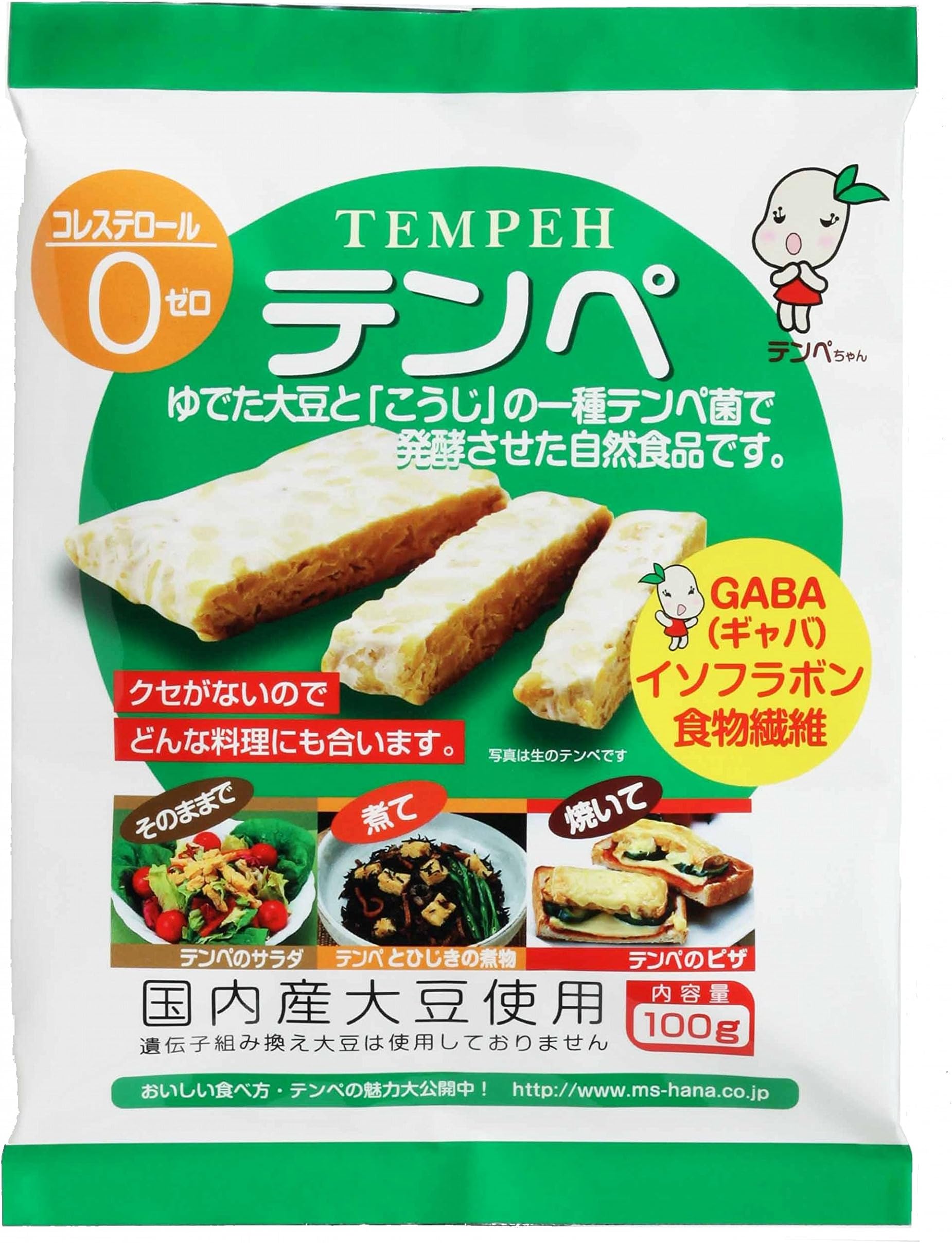 Marushin food Tempe 100g ~ 10 pieces