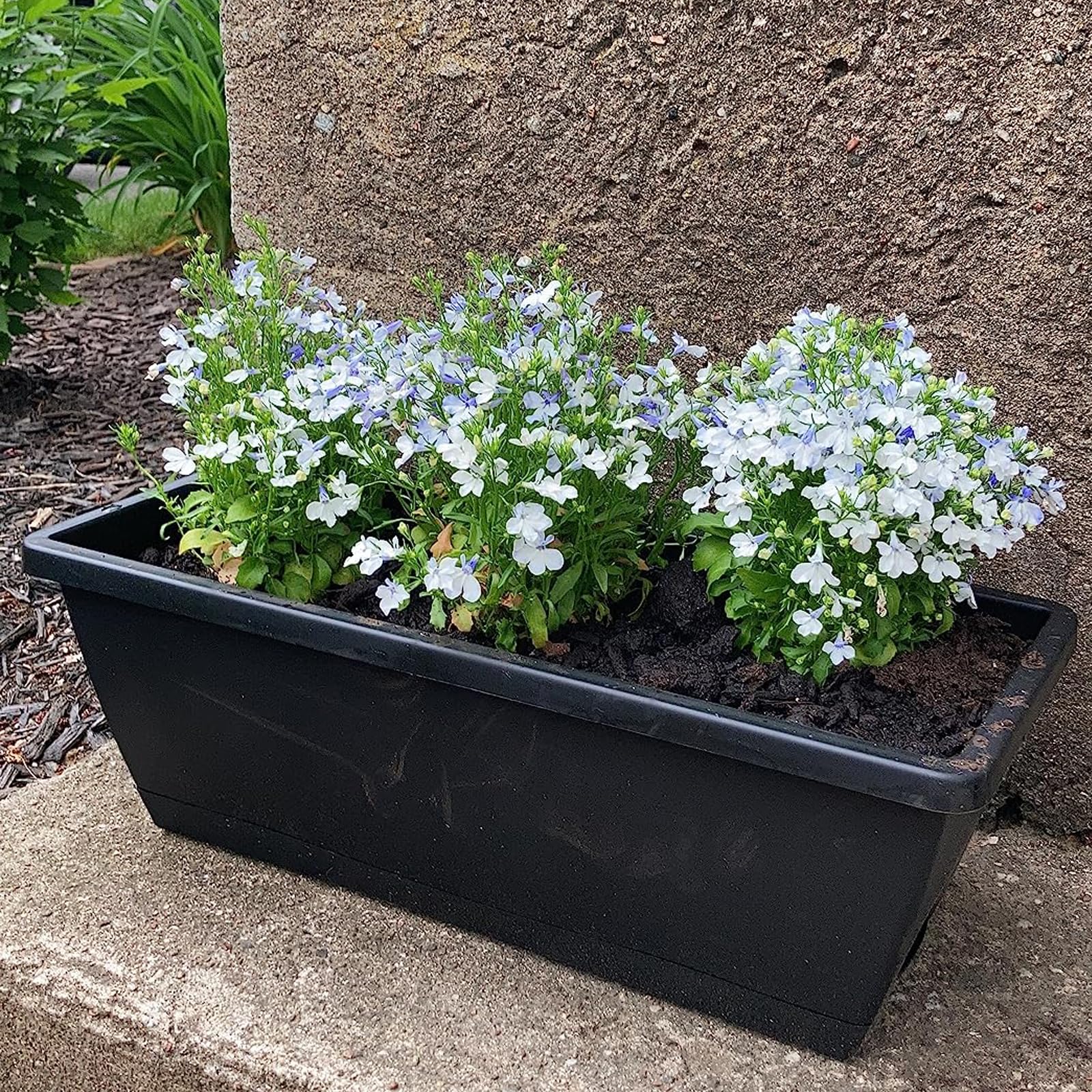 MUKSEUT Lot de 8 jardinières rectangulaires en résine avec Trous de Drainage et Plateaux pour Rebord de fenêtre, terrasse, Jardin, décoration d'intérieur, Porche, Cour Noir 43,2 cm