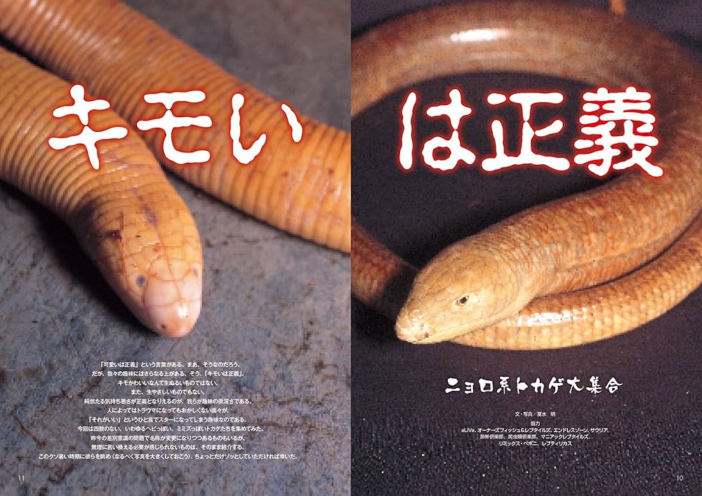 ビバリウムガイド NO.66 2014年 08月号 |本 | 通販 | Amazon