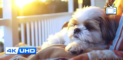 Puppy Sleep Music – Soothing Dog Lullabies for Calm & Relaxation Screensaver