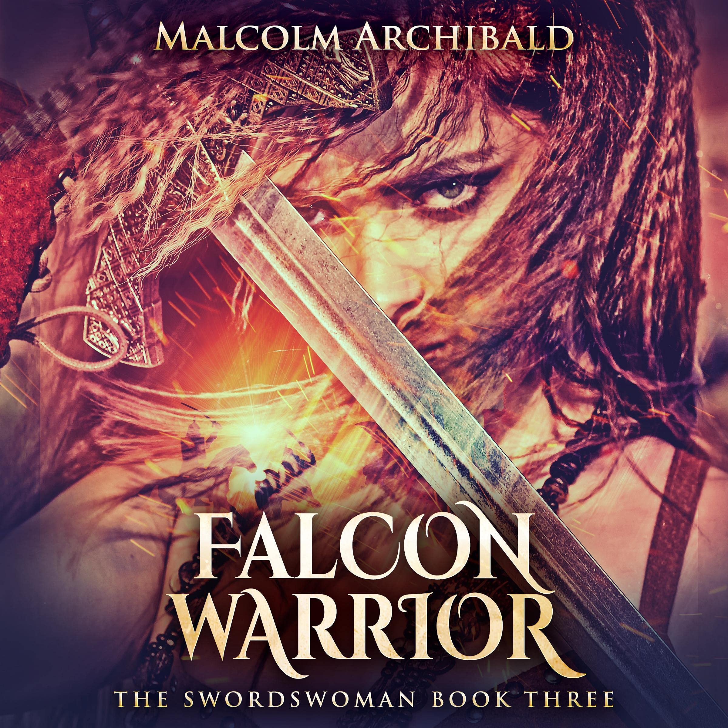 Cover art for Falcon Warrior