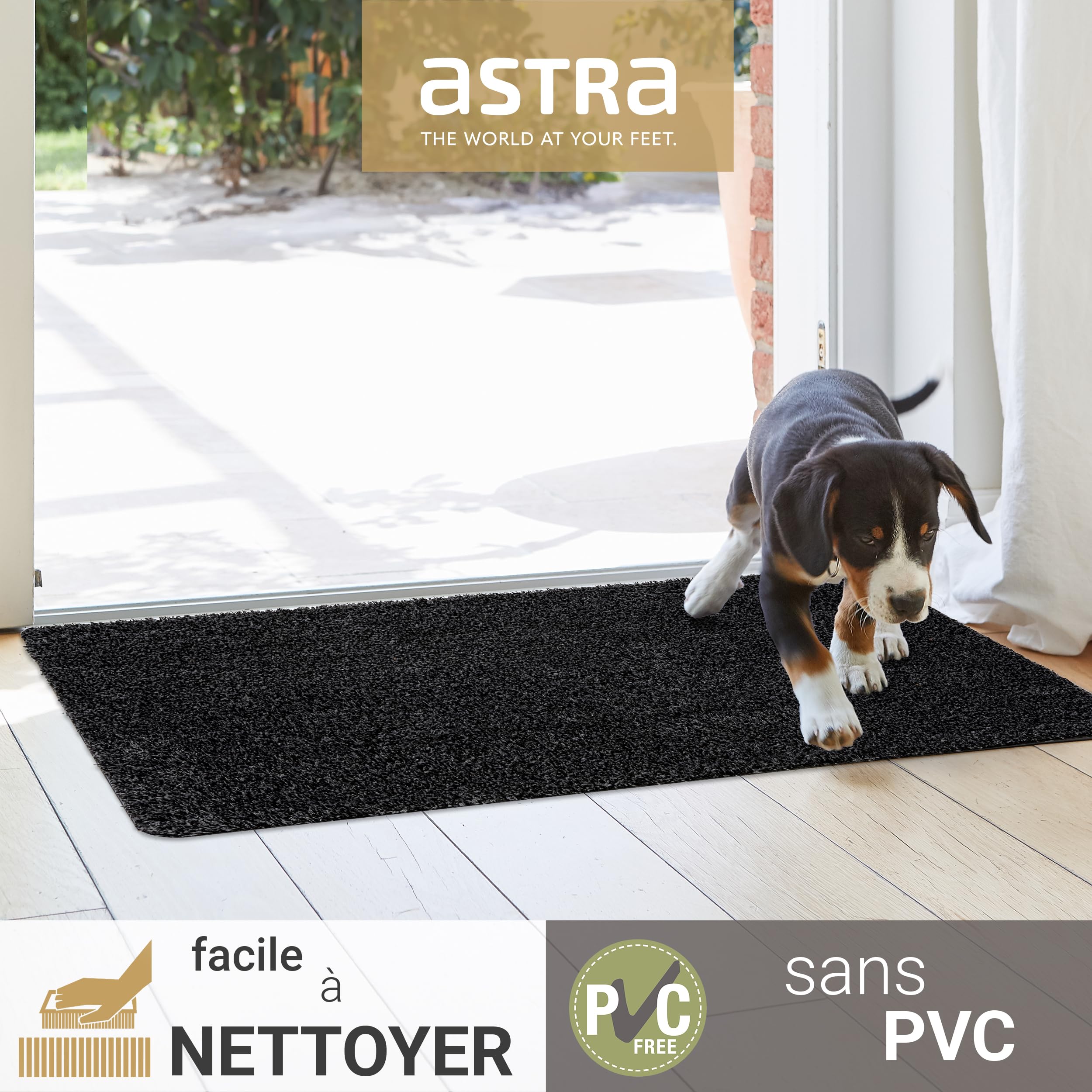 Astra Paillasson intérieur antidérapant - paillasson Durable Lavable à 30°C - paillasson sans PVC - paillasson Facile d'entretien - Lot de 2 50x80 cm Anthracite