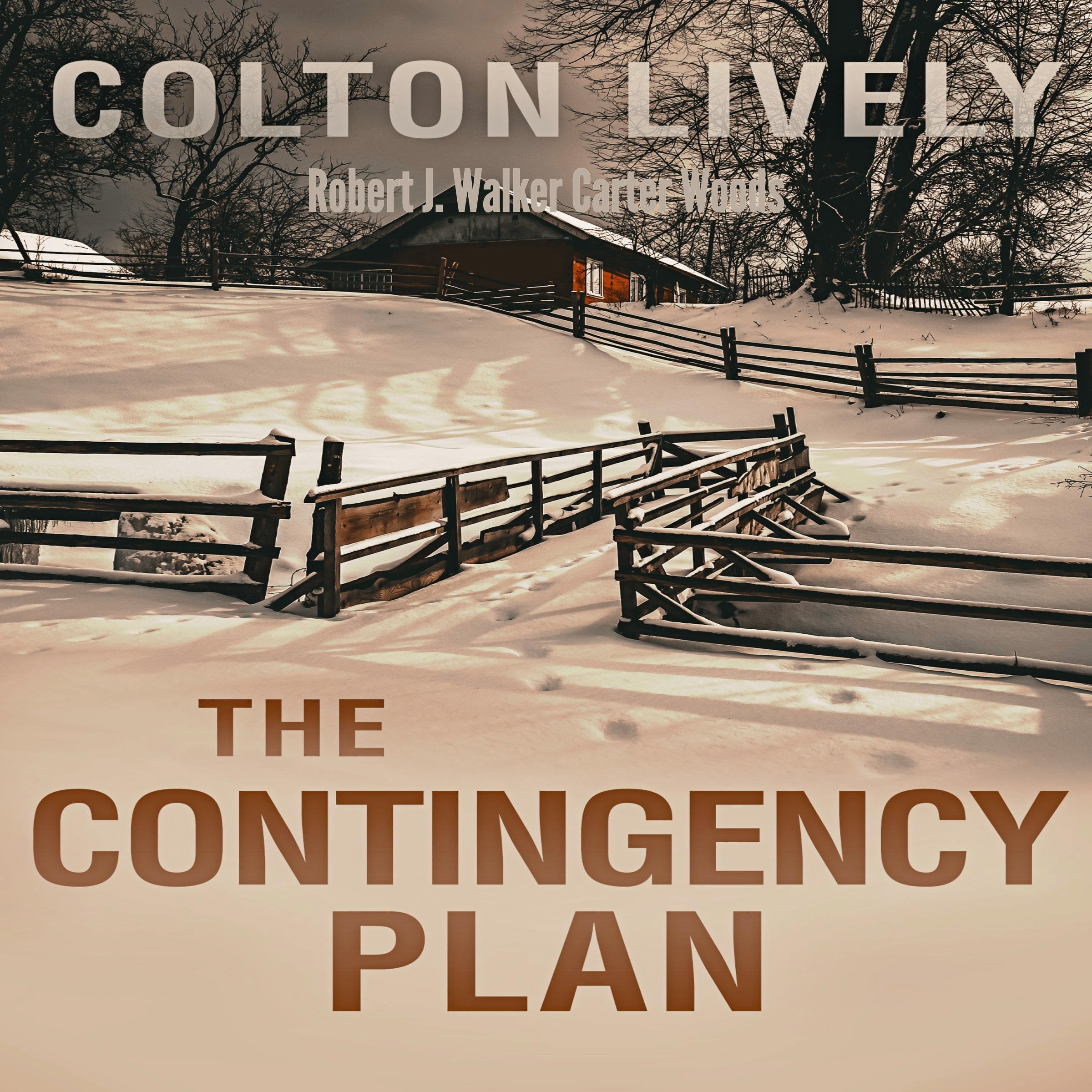 The Contingency Plan