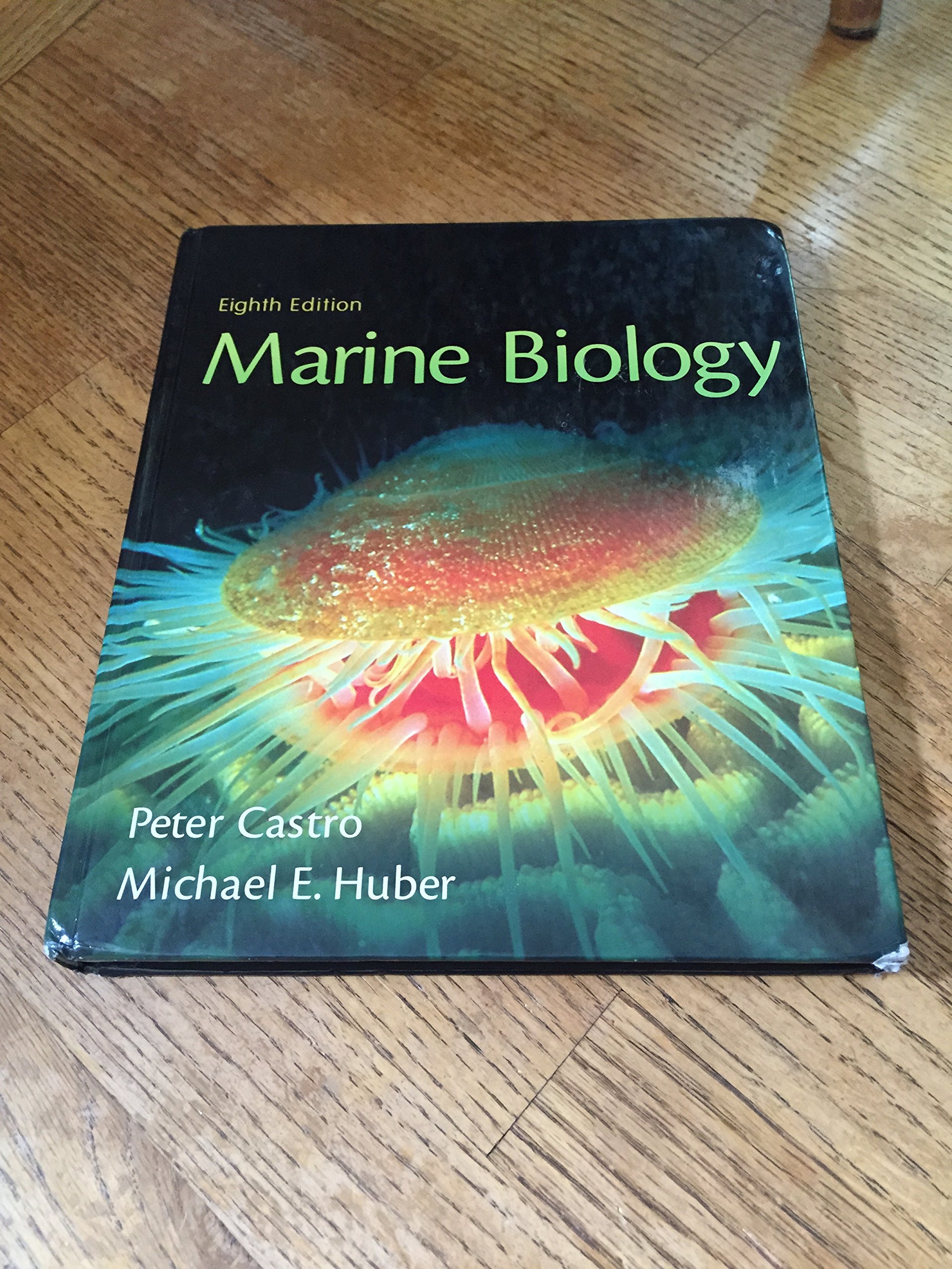 Marine Biology - Image 2