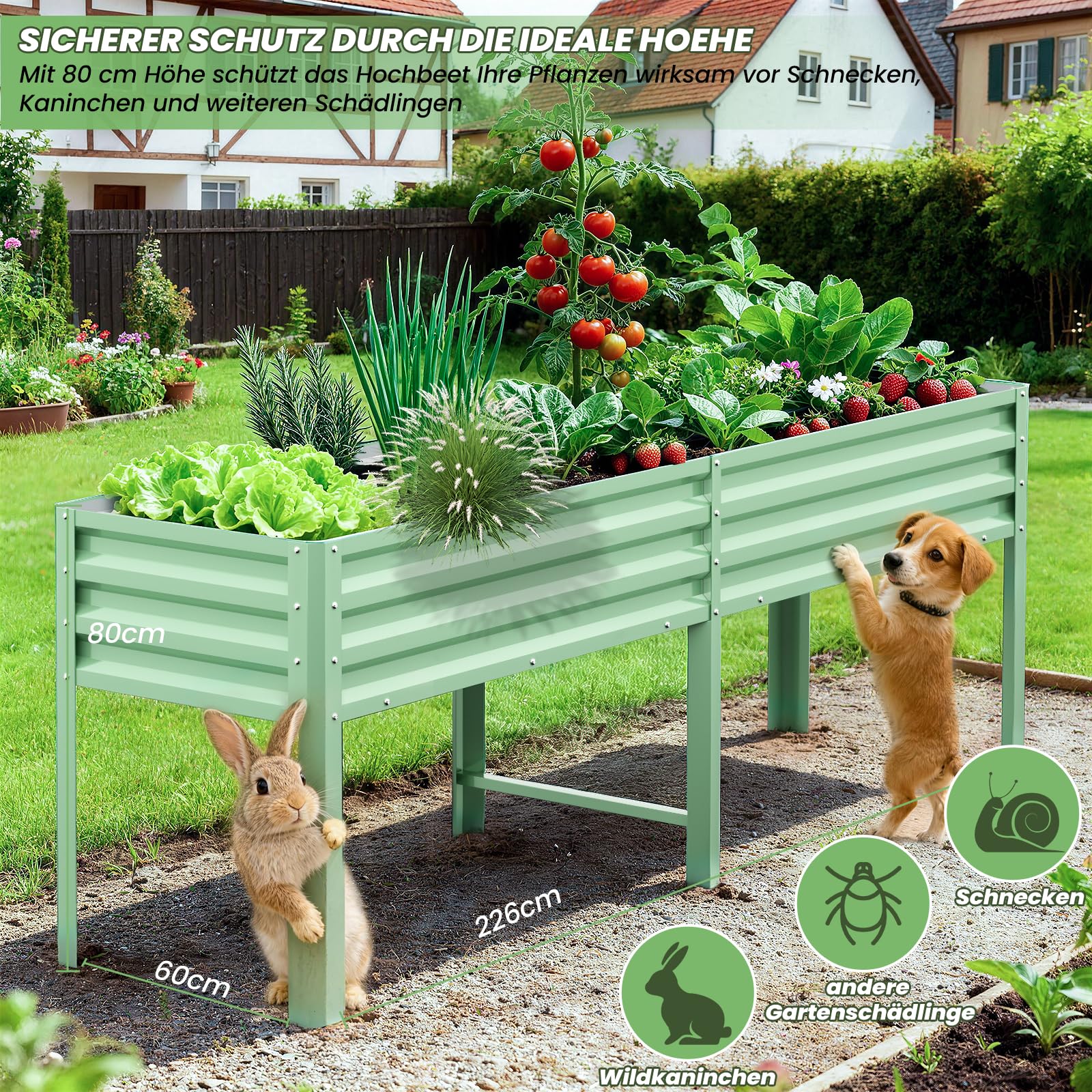 Hochbeet aus Metall, Verzinkter Stahl Rostfrei, 226x60x80 cm Hochbeet für Garten, Terrasse & Balkon, Pflanzkasten für Gemüse, Kräuter und Blumen, Langlebiges Pflanzbeet