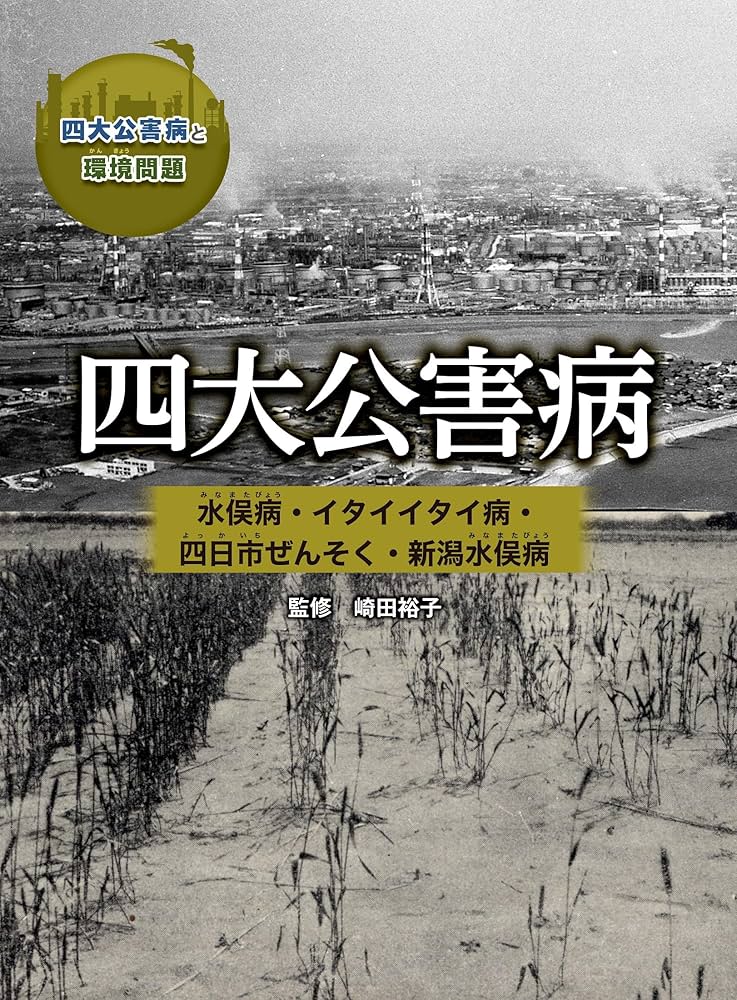 Amazon.co.jp: 四大公害病 水俣病・イタイイタイ病・四日市