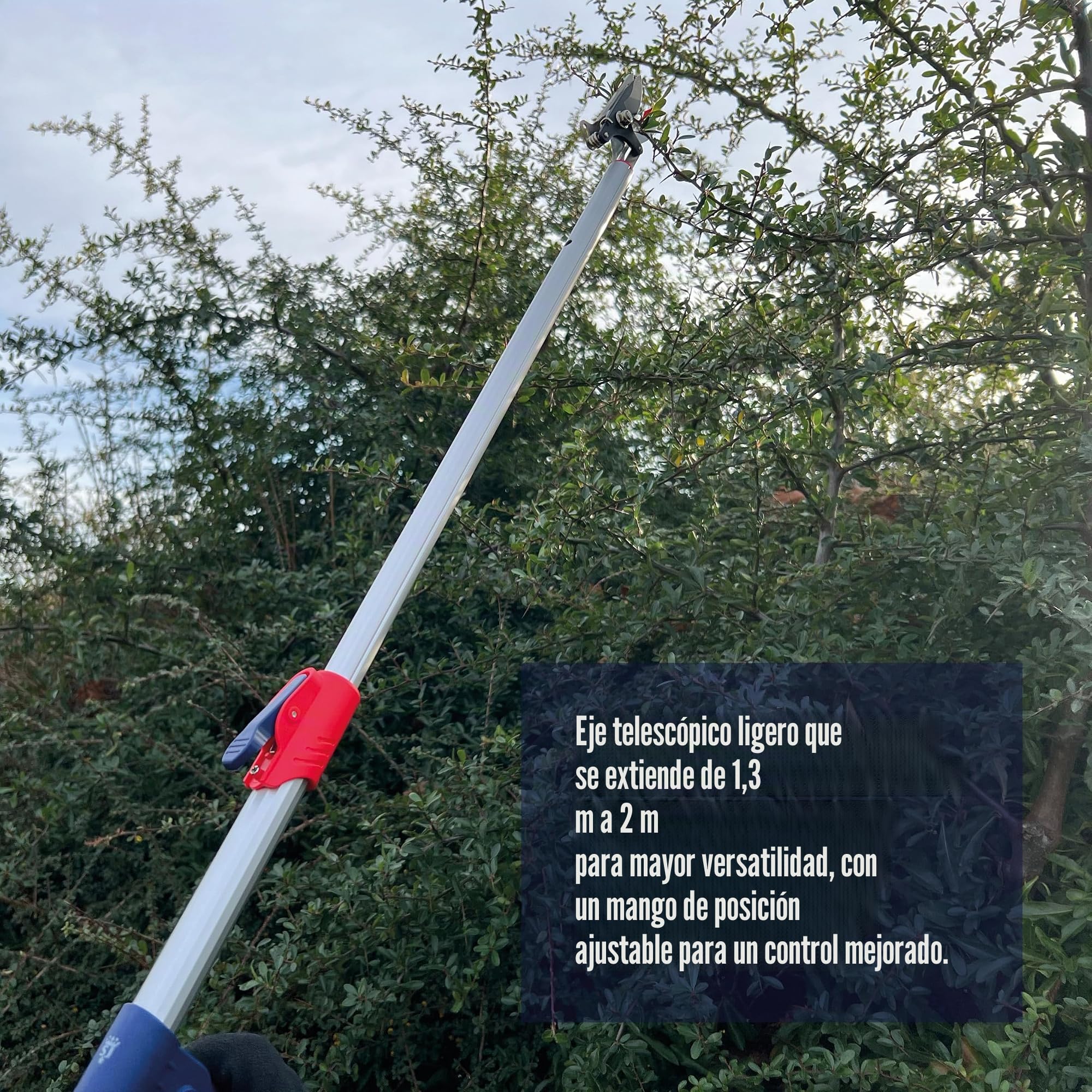 Spear & Jackson 8201LR Podadora de bypass telescópica Razorsharp Easy Reach, tijeras de poda perfectas para cortar plantas y árboles