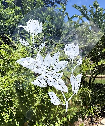 DCentral® Vinilo decorativo para ventana, diseño de flores, 8 x 12 pulgadas, con texto en inglés "Etched" (8 x 12 pulgadas), los objetos son opacos,