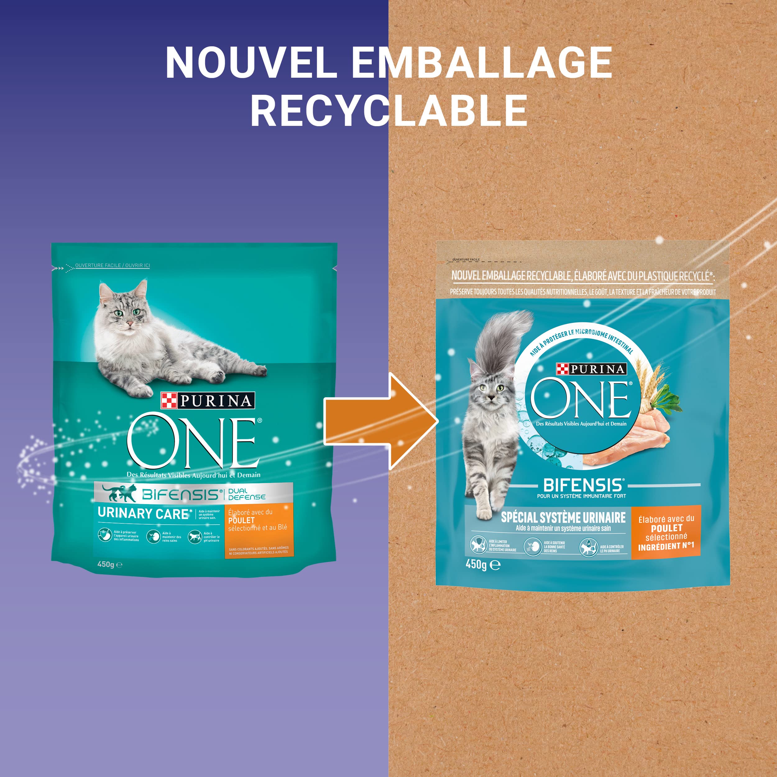 PURINA ONE | BIFENSIS | Chat Adulte | Spécial Système Urinaire | Aide à limiter l'inflamation du système urinaire, à soutenir la bonne santé des reins | Croquettes | Au Poulet | Sac | Lot de 10 x 450g