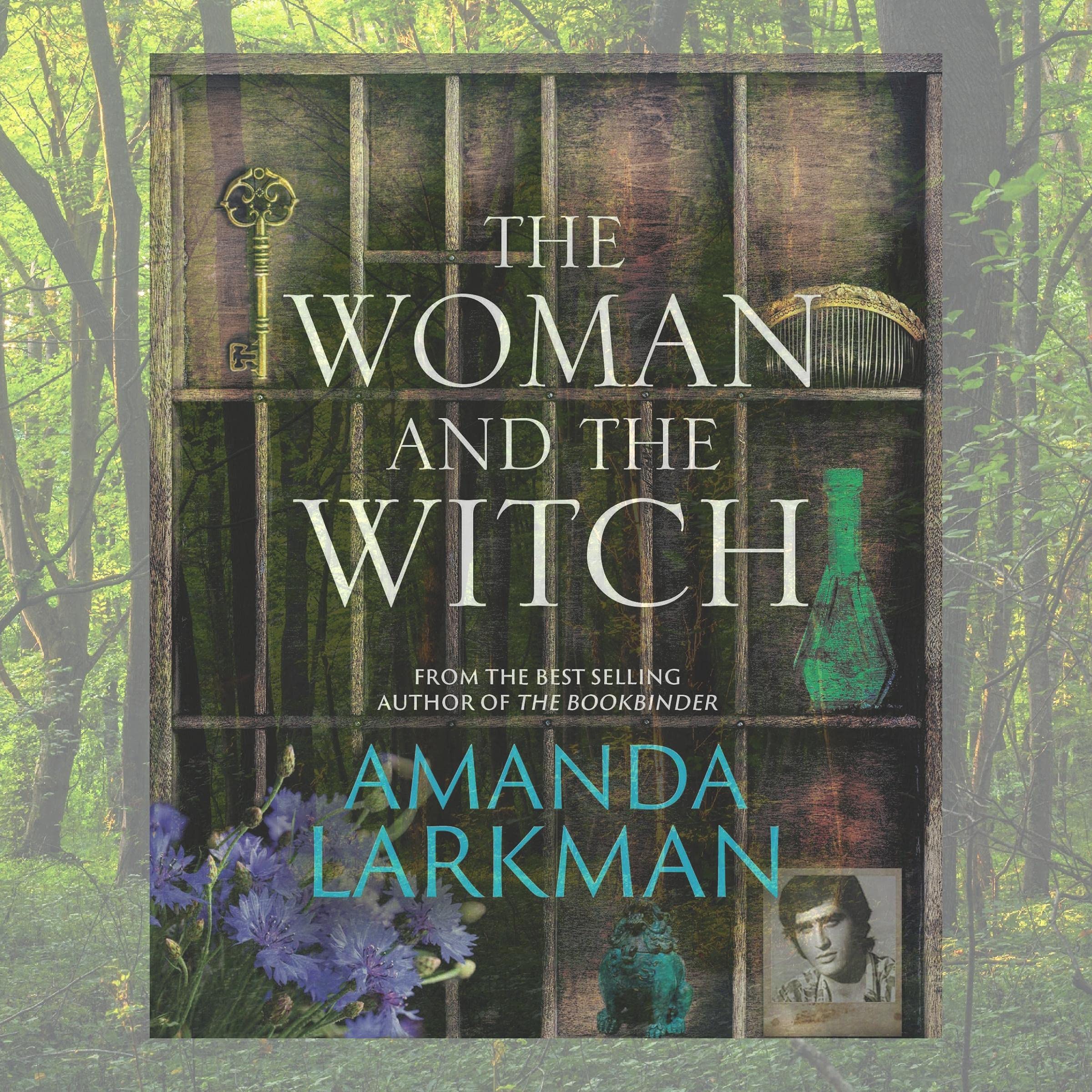 Cover art for The Woman and the Witch