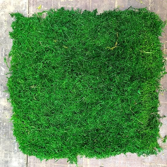 Bulk Wholesale Preserved Sheet Moss Sheet Moss Bun Moss