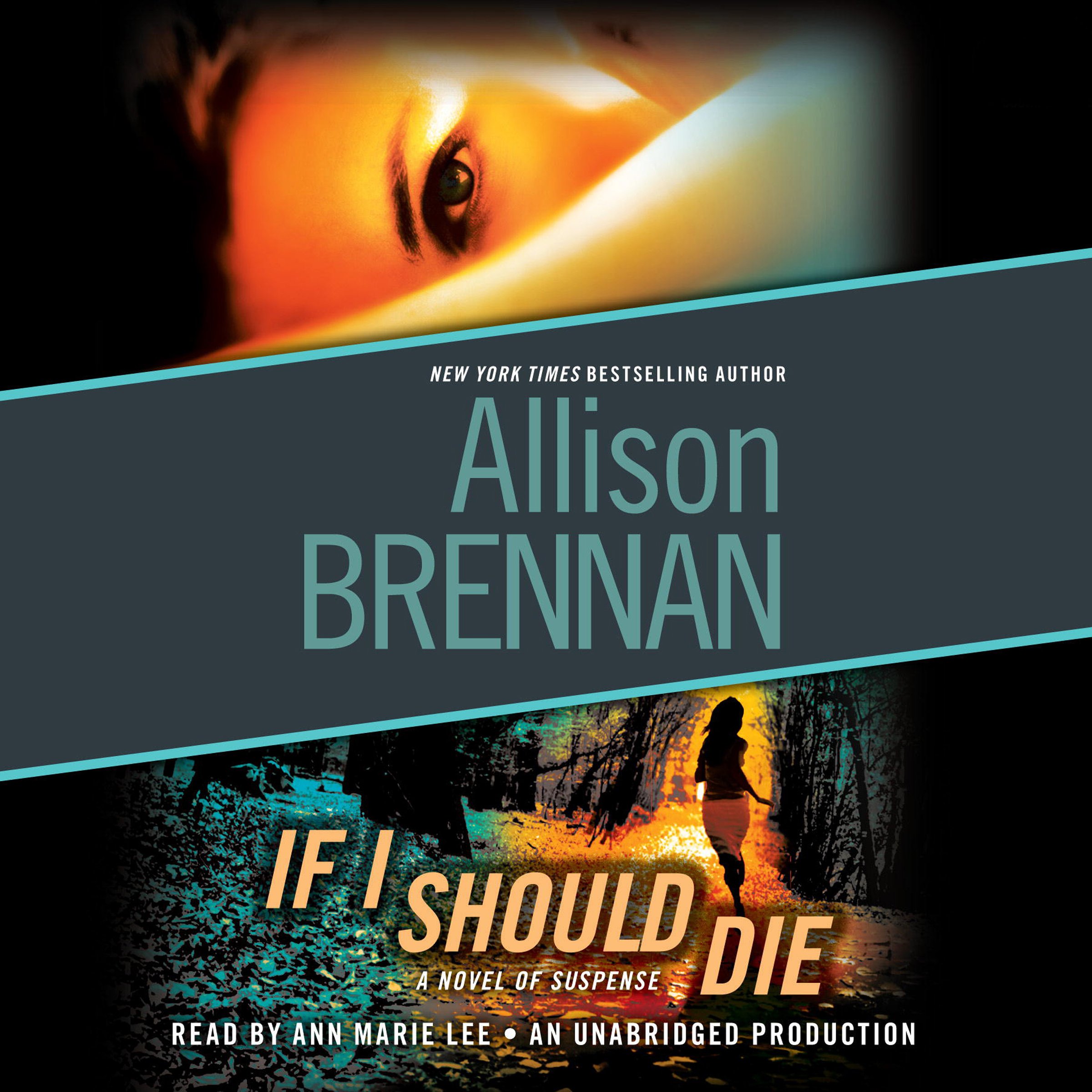 Cover art for If I Should Die