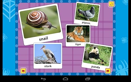 My First Picture Book Animals FREE