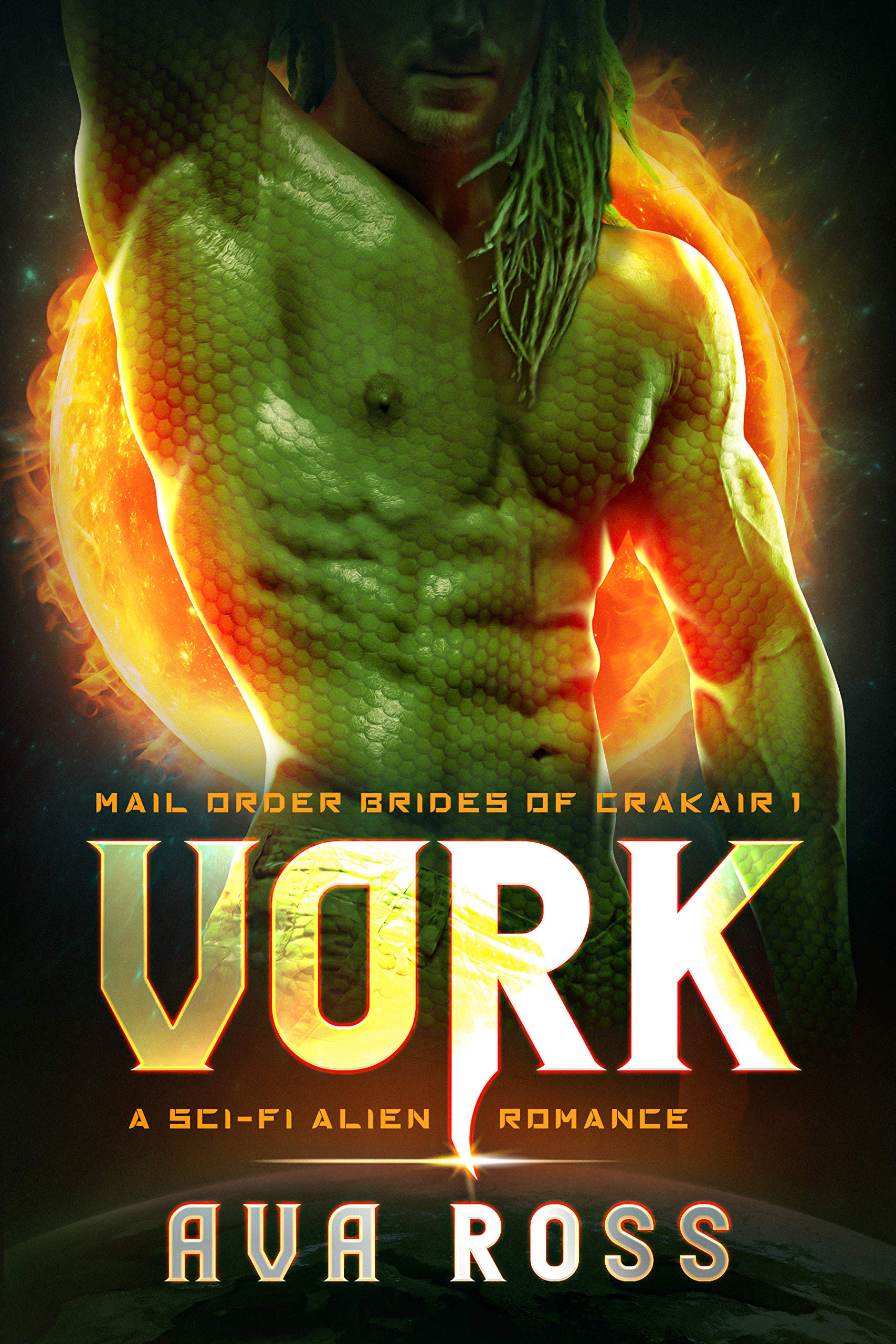 Book cover for Vork