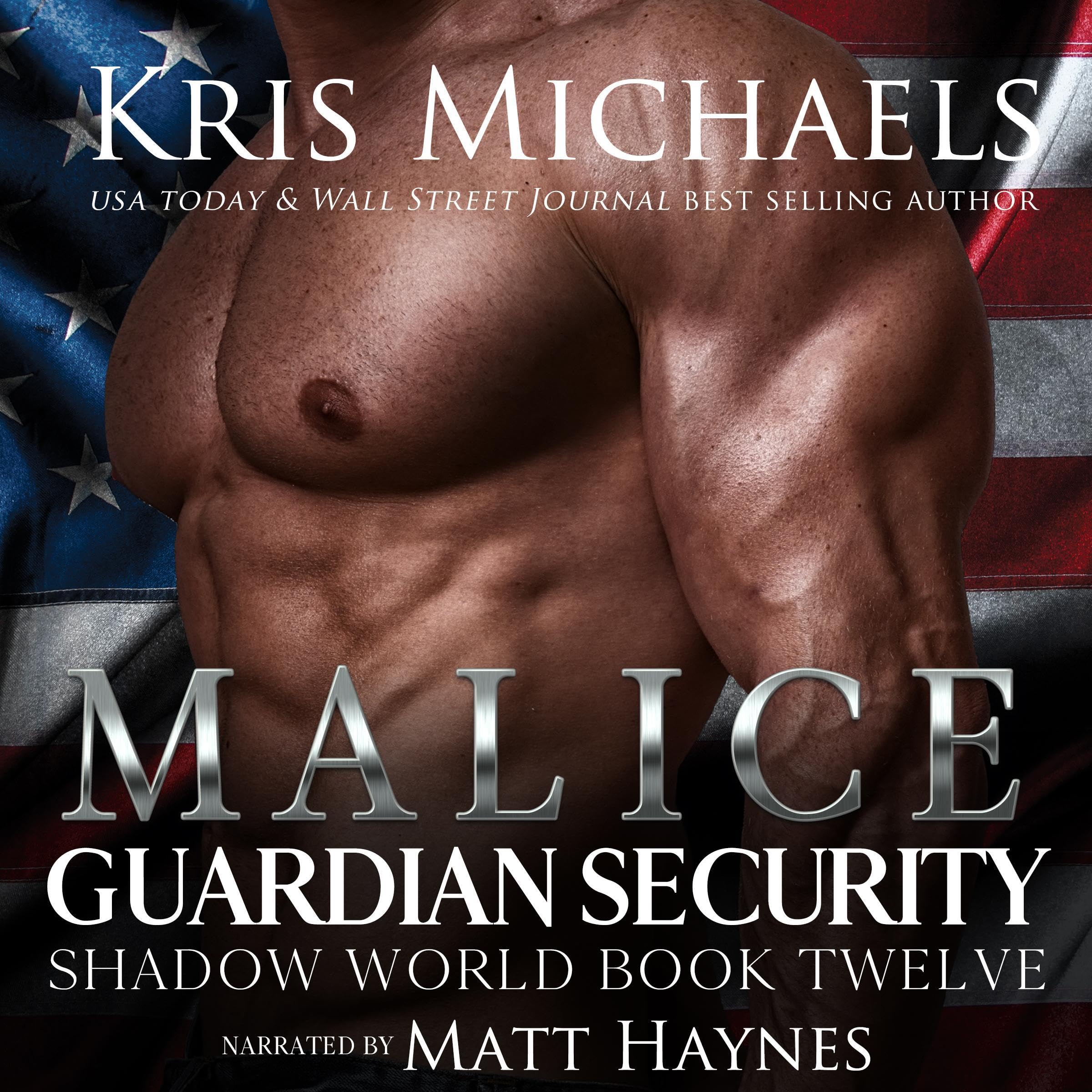 Cover art for Malice: Guardian Security Shadow World, Book 12