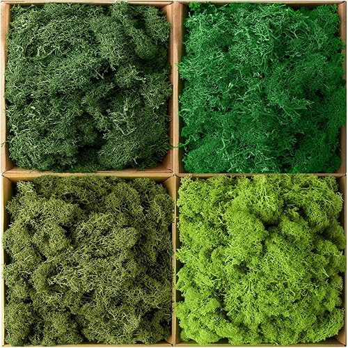 Musgo preservado, musgo floral multicolor secado natural, musgo a granel para manualidades, manualidades, pared, hogar, oficina, terrarios,