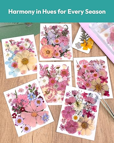 Vista 14 de Resiners - Flores secas, 100 piezas de flores prensadas para manualidades, color amarillo, flores secas naturales, kit de hojas secas