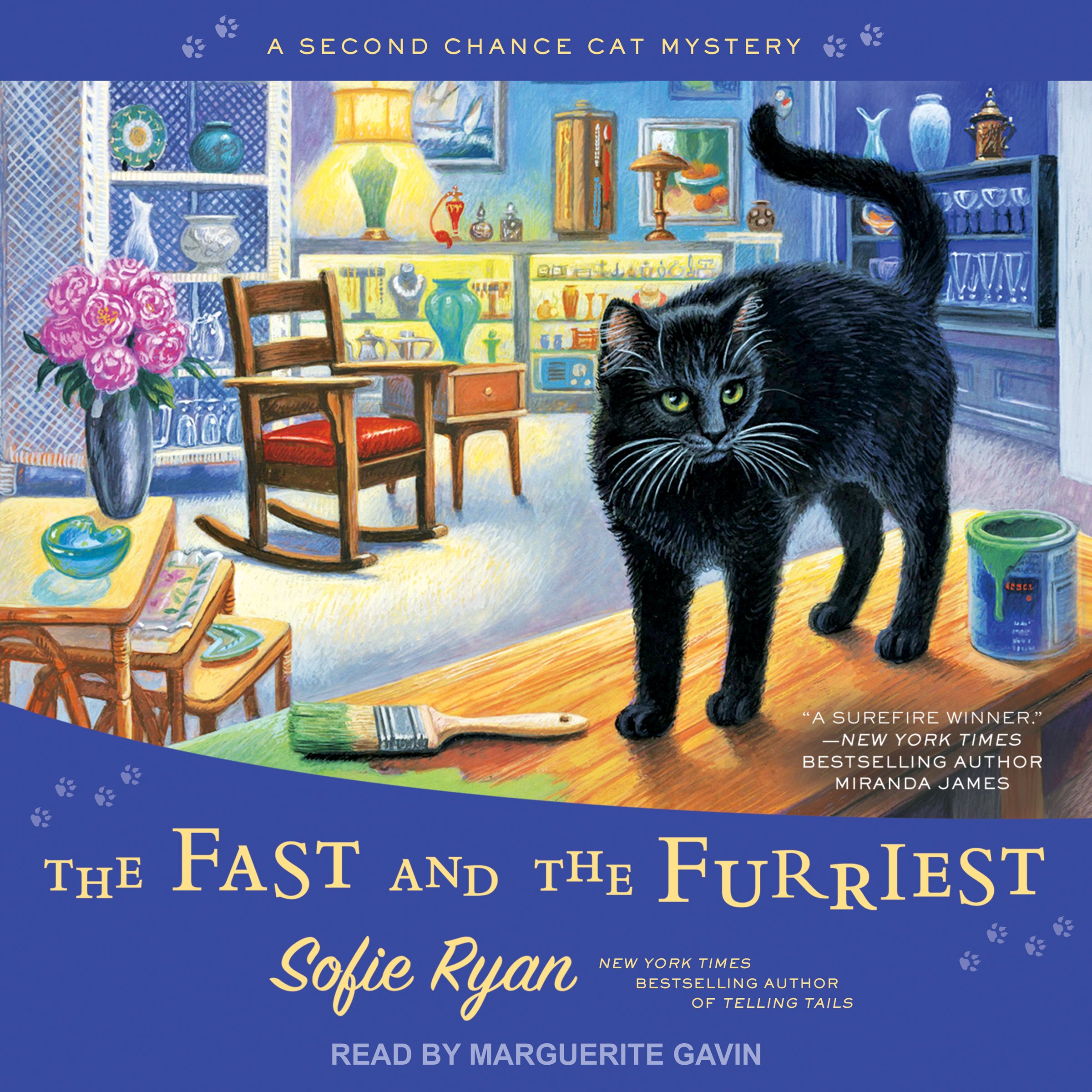 Cover art for The Fast and the Furriest