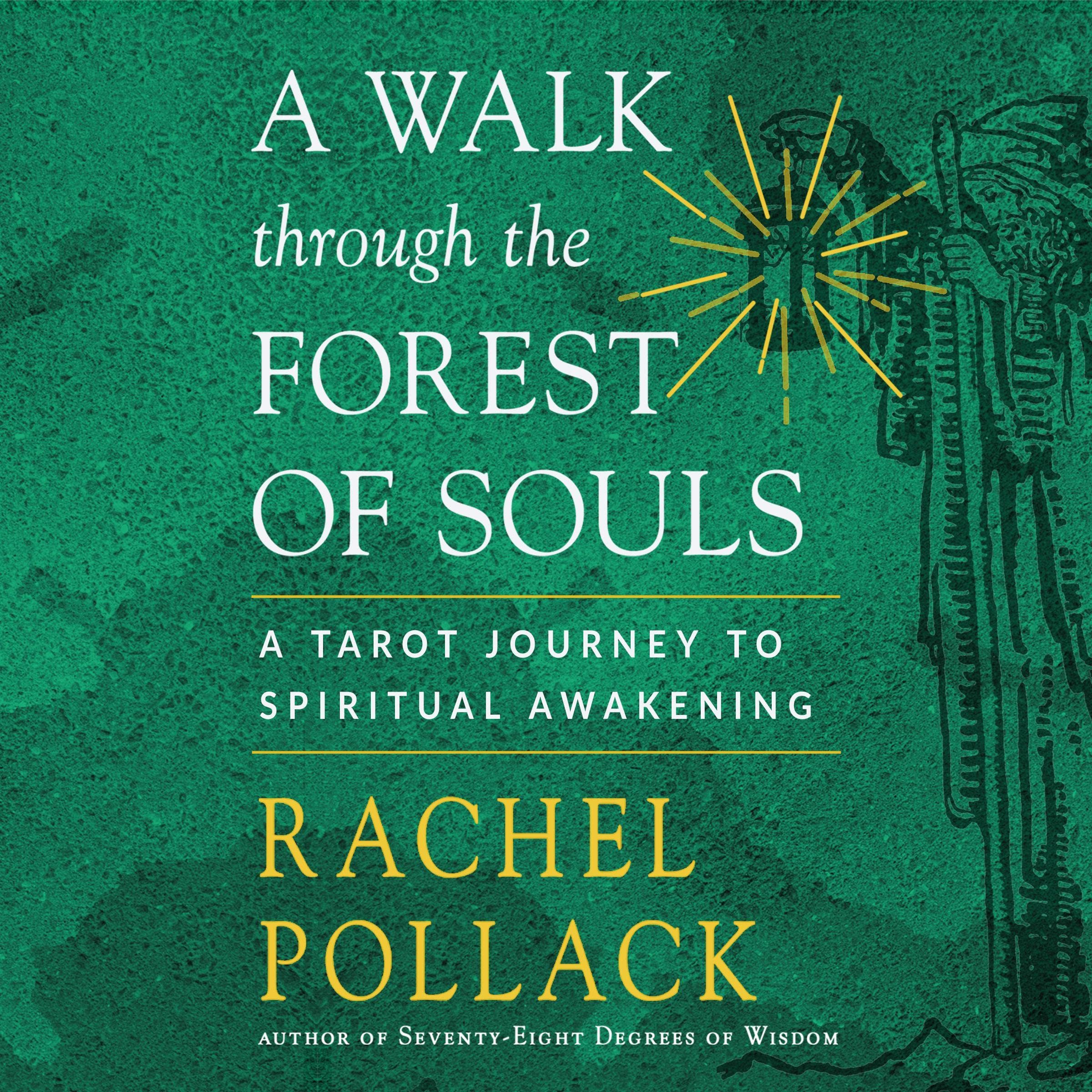 Cover art for A Walk Through the Forest of Souls