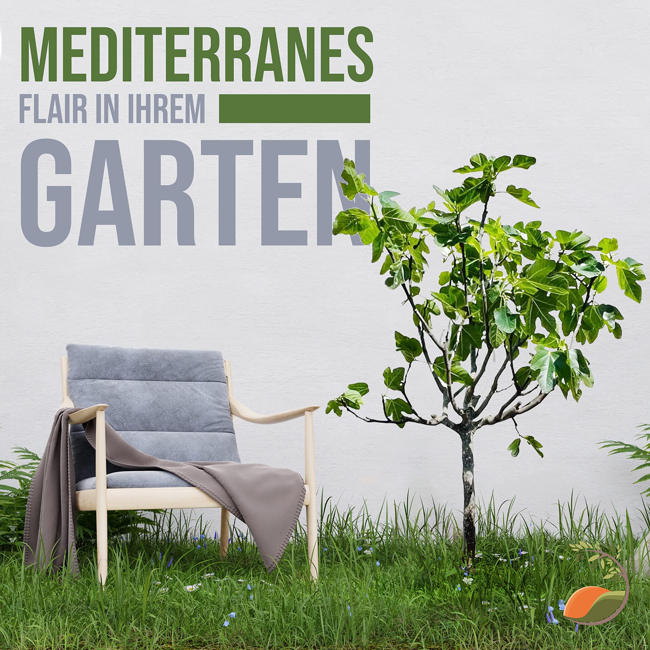 Tropictrees Feigenbaum mit einer Höhe von 150 cm und einem Stammumfang von 14-16 cm | Feigen zur Saftherstellung und als Zutat für schmackhafte Gerichte | Feigenbaum winterhart mit essbaren Früchten