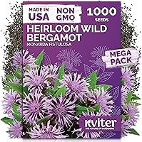 Vista 49 de KVITER 25 semillas de algodón blanco para plantar (Gossypium hirsutum) – Planta de algodón real, semillas de algodón para cultivo, semillas