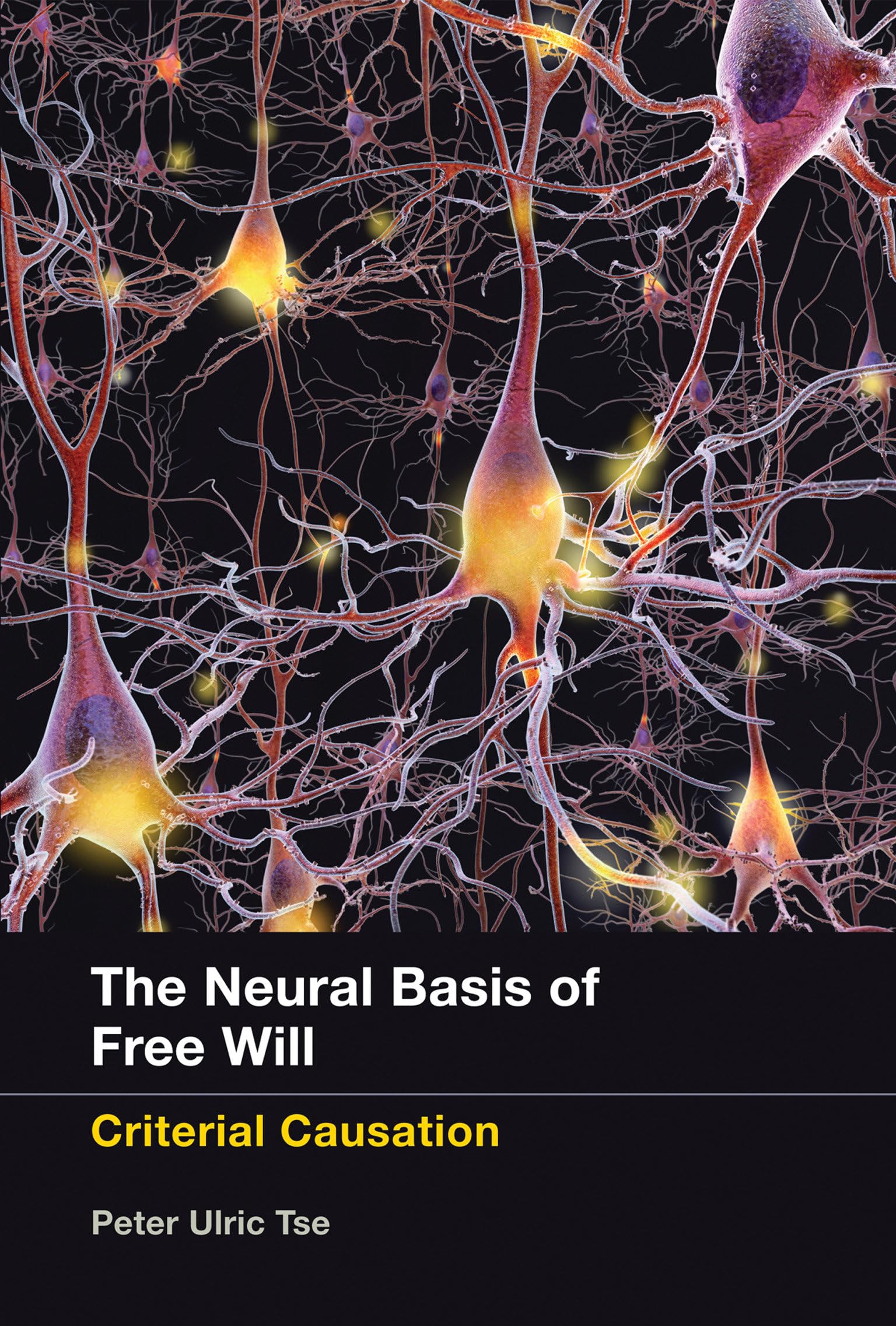 The Neural Basis of Free Will: Criterial Causation (The MIT Press)