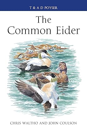 The Common Eider (Poyser Monographs)