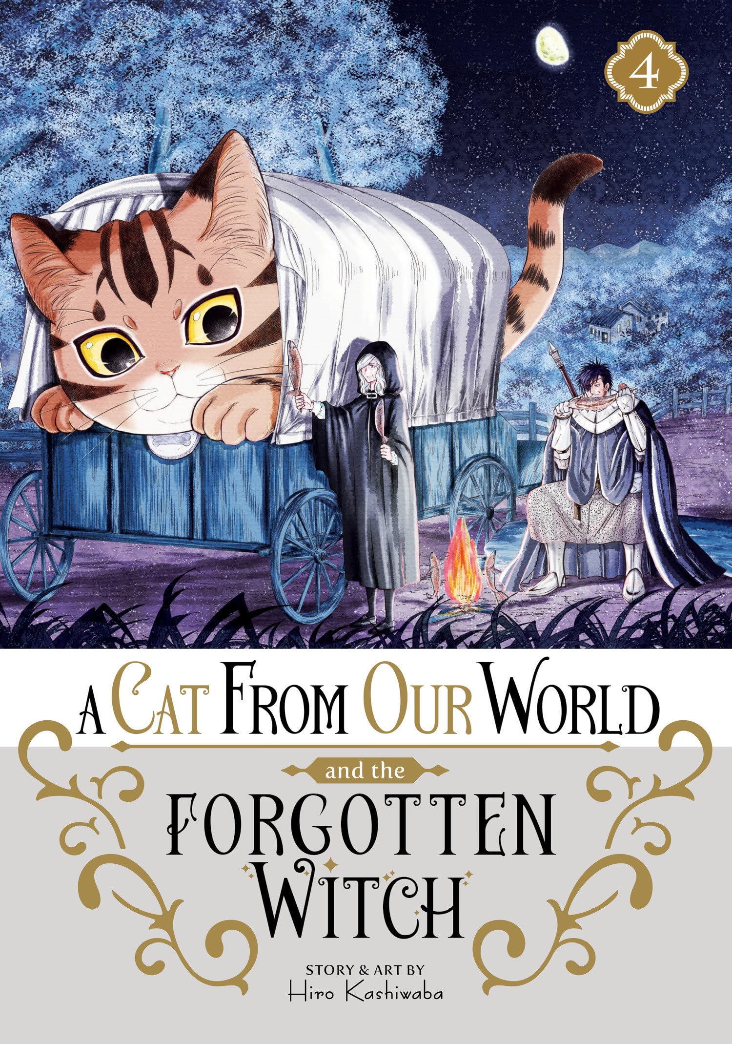 Cat From Our World & The Forgotten Witch