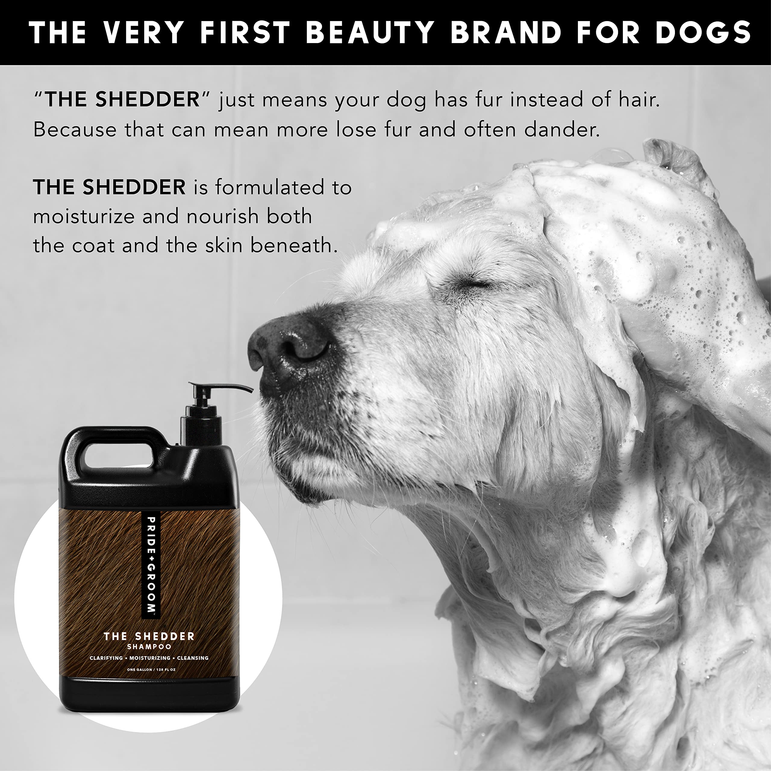 How Can I Reduce My Dogs Shedding And Dander