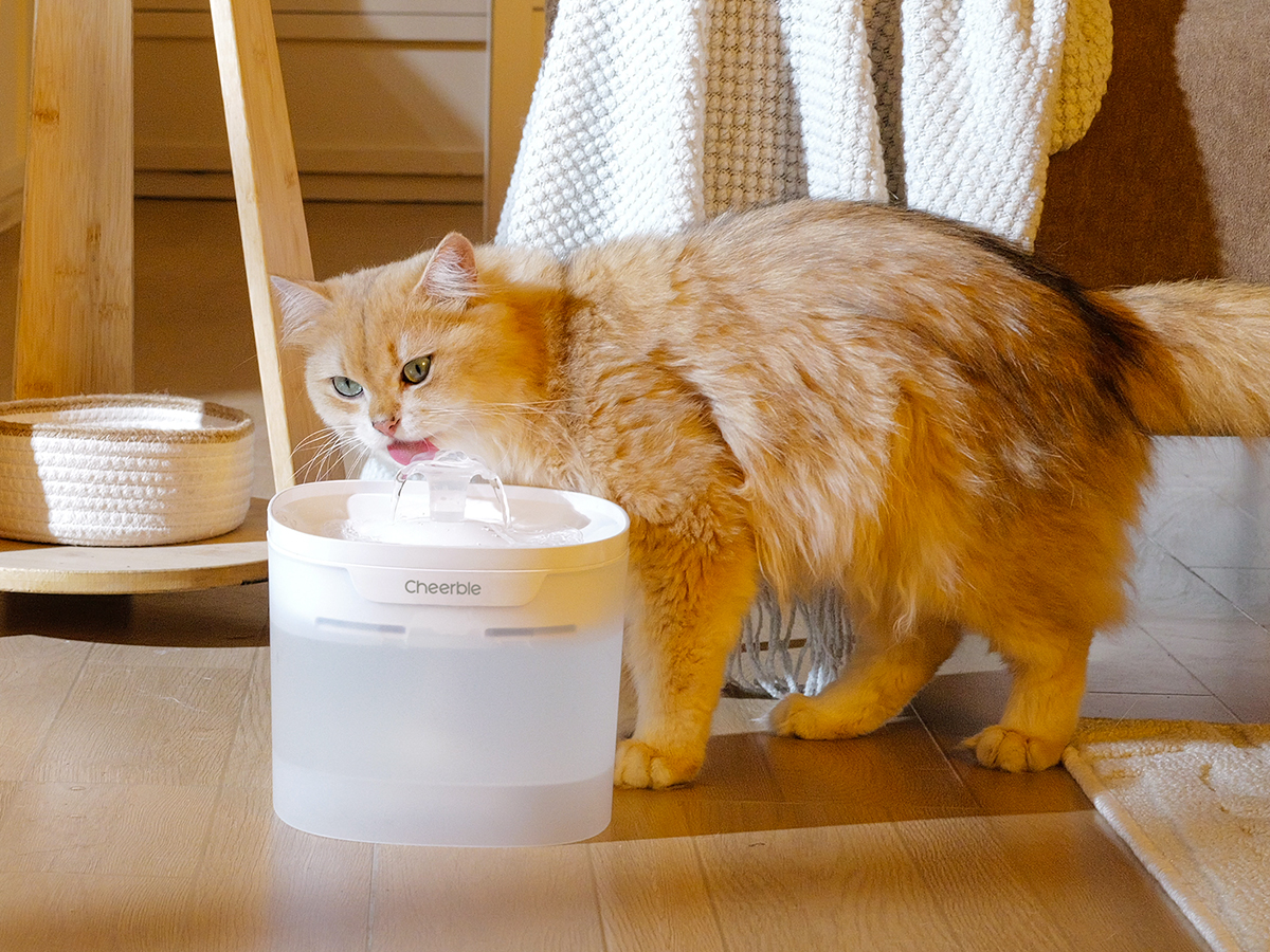 Cheerble PET FOUNTAIN E1+ ペット給水機 Amazon.co.jp: Cheerble 猫 自動給水器 猫水飲み器 猫給水器