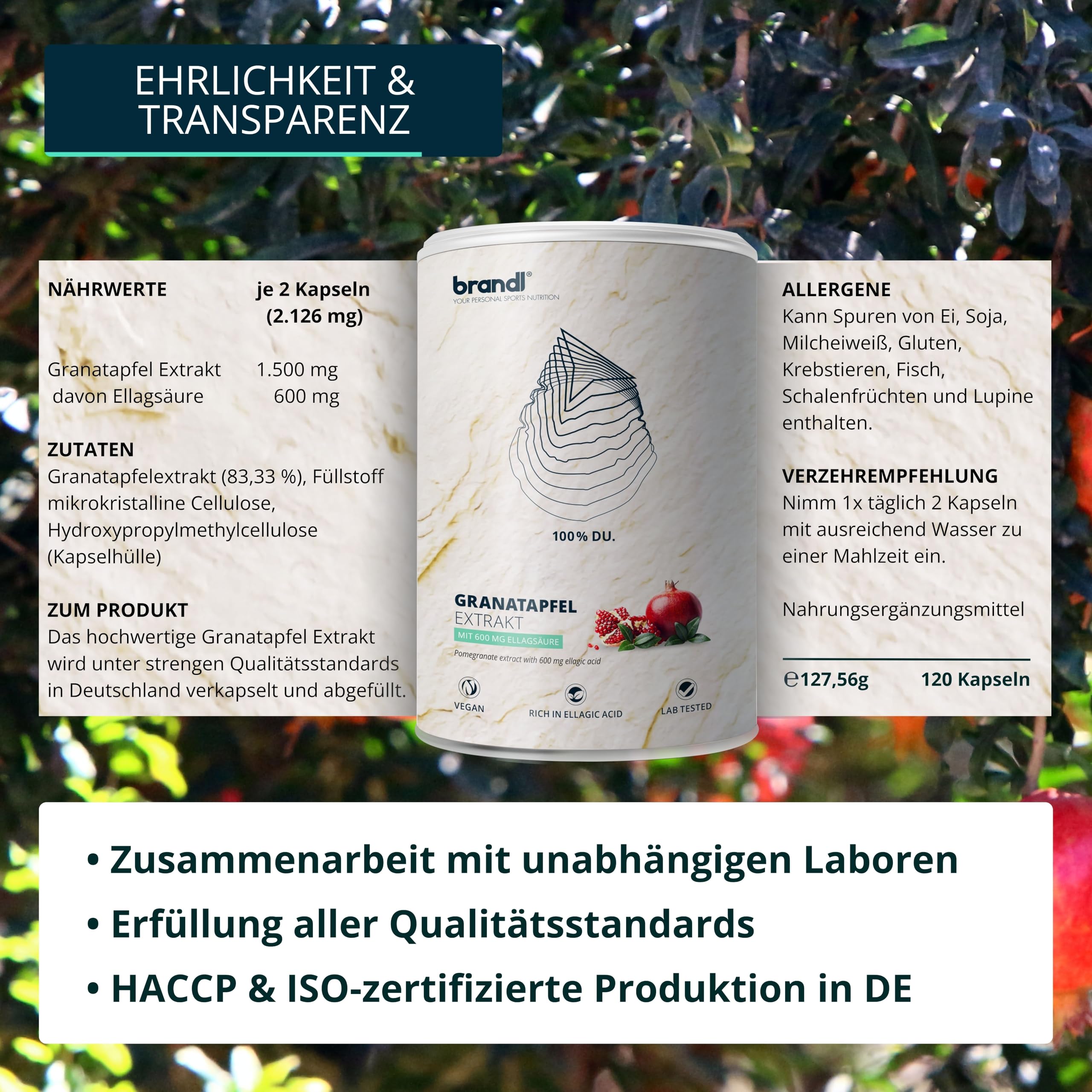 Granatapfel Kapseln hochdosiert | 1.500 mg Premium Granatapfel-Extrakt pro Portion mit 40% mg Ellagsäure | 120 Kapseln 2-Monats-Vorrat by brandl®