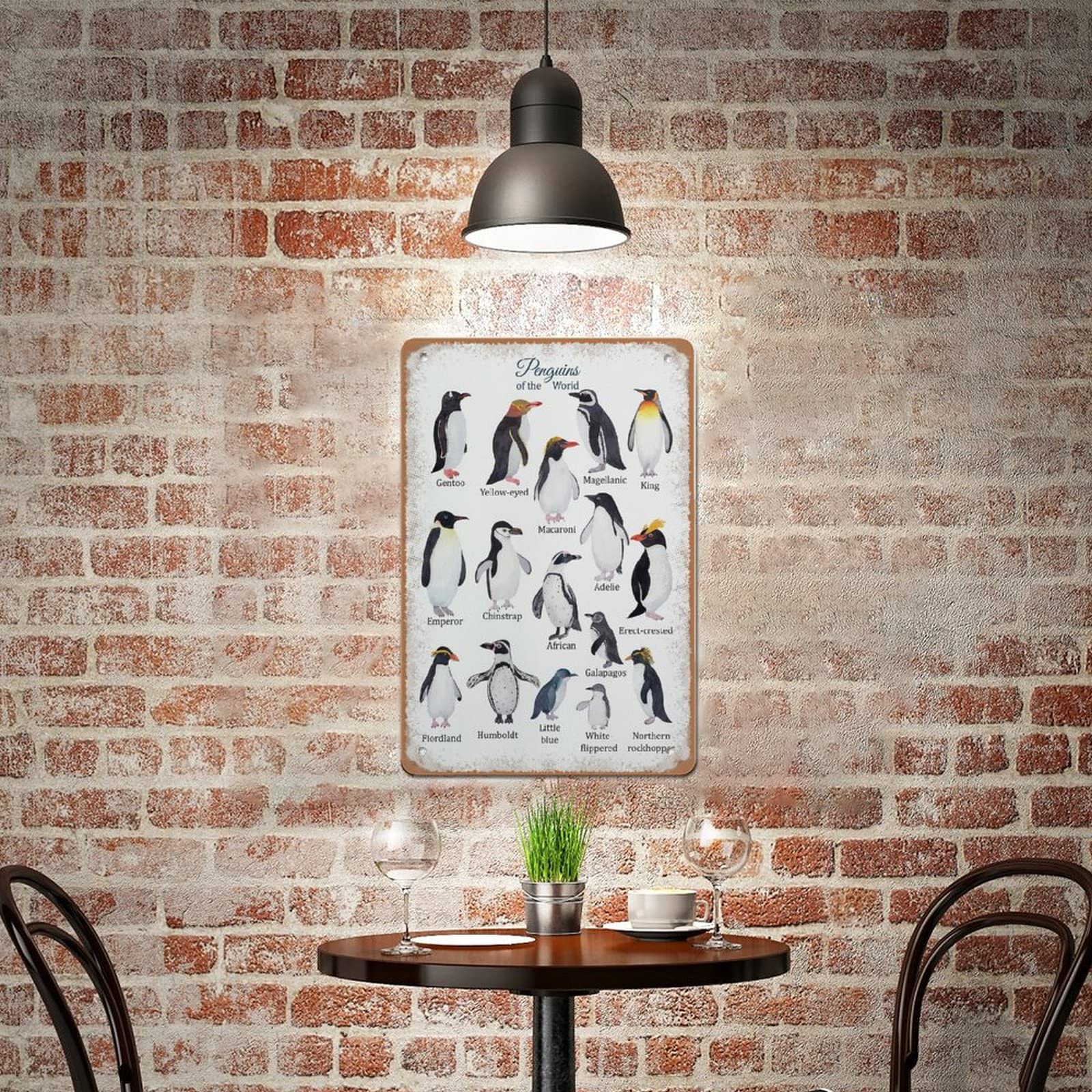 Allijune Penguins Species Poster, Educational Poster, Types of