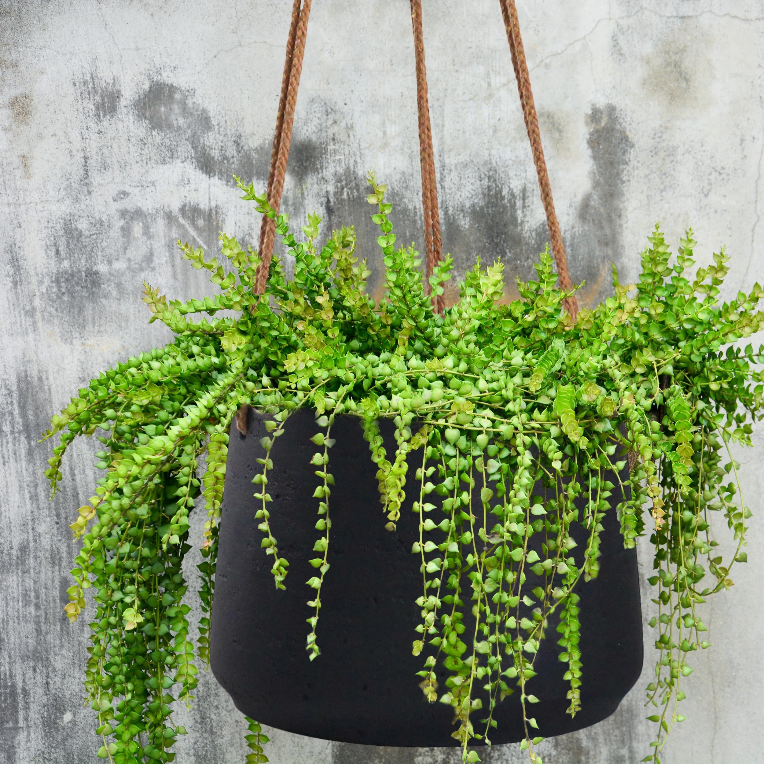 Copenhagen Lot de 2 Pots de Fleurs à Suspendre en céramique Noir Mat – Comprend Une Corde de Suspension – Pots de Fleurs à Suspendre en Ciment en céramique pour intérieur et extérieur – Effet texturé