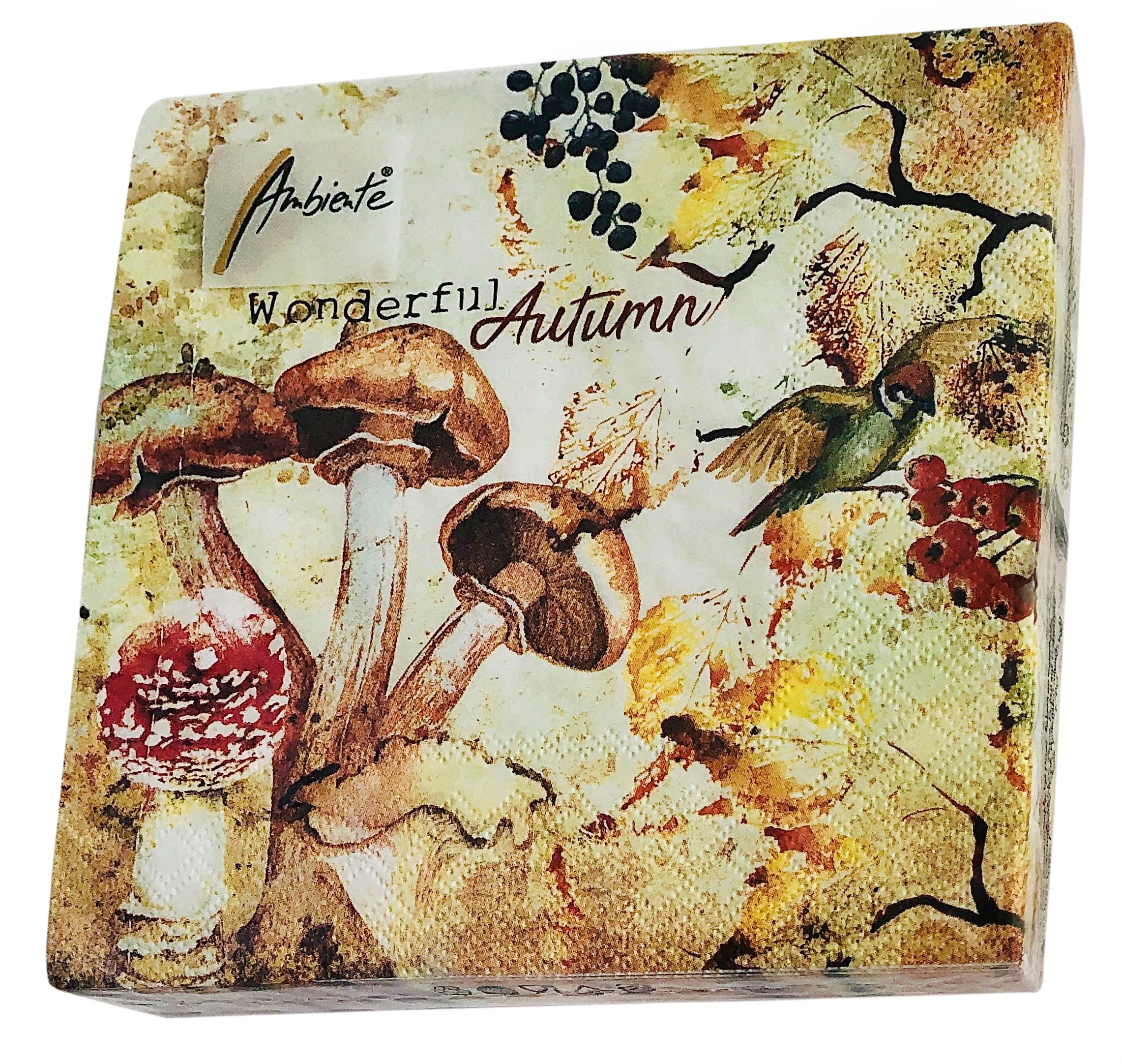 20-ct 13x13 Mushroom Napkins for Decoupage Vintage Fall Napkins Thanksgiving Paper Napkins Disposable Fall Napkins Fall Paper Napkins Fall Cocktail Napkins Autumn Napkins Thanksgiving Napkins