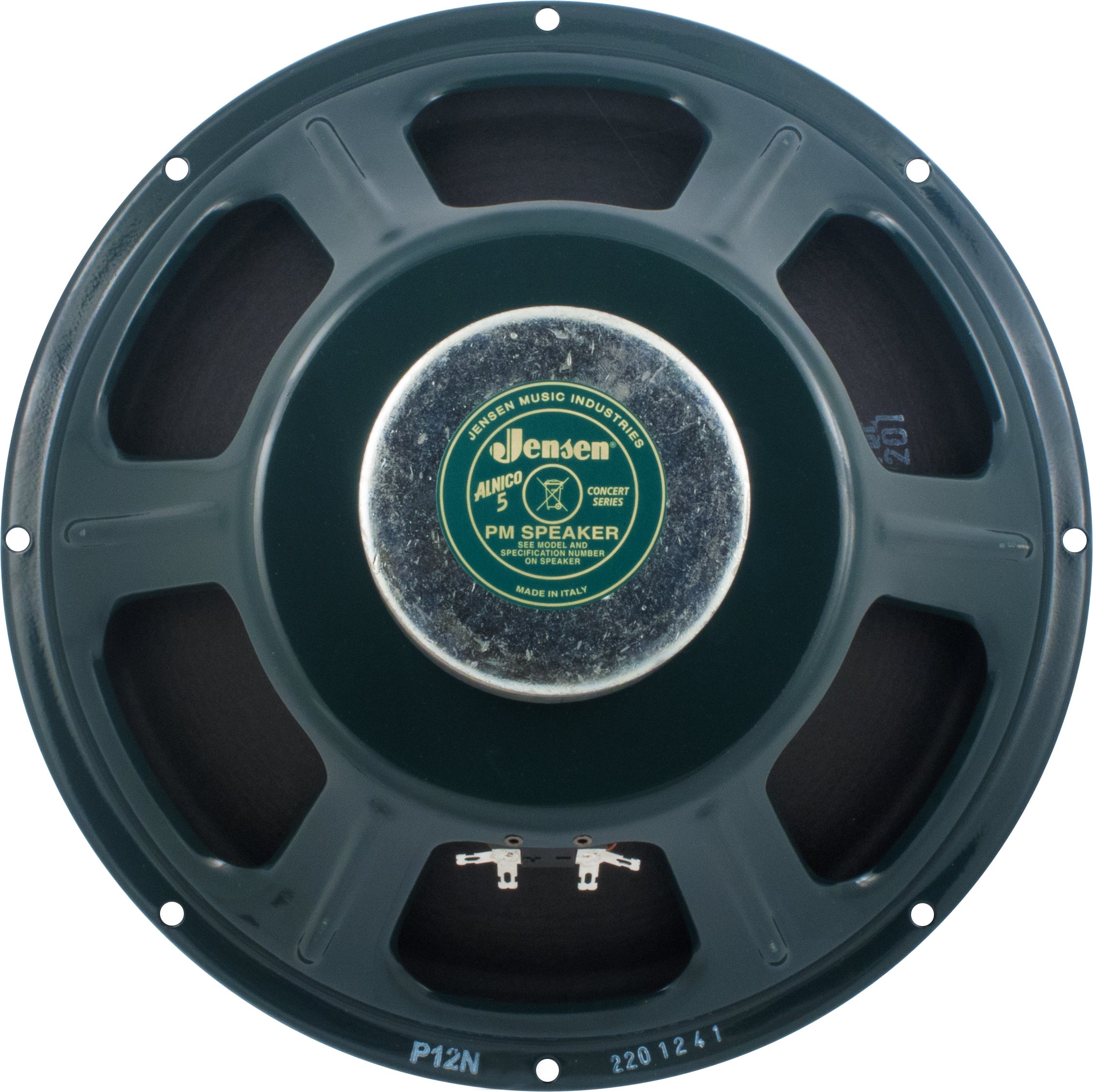 Amazon.com: Jensen Vintage P12NNB16 12-Inch Alnico Speaker without