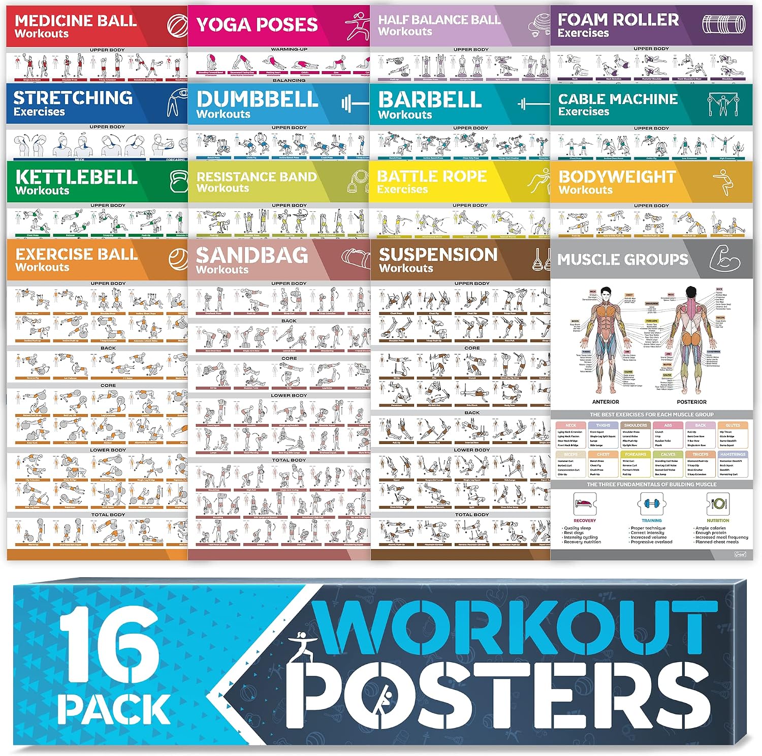 [16-PACK] Laminated Large Workout Poster Set - Perfect Workout Posters for Home Gym - Exercise Charts Incl. Dumbbell, Yoga Poses, Resistance Band, Kettlebell, Stretching & More Fitness Gym Posters