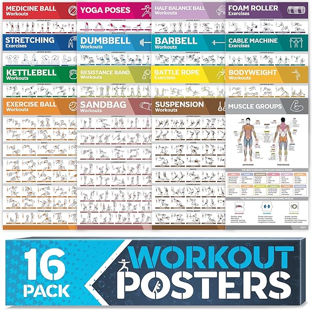 16-Pack Laminated Large Workout Poster Set - Perfect Workout Posters For Home Gym - Exercise Charts Incl. Dumbbell, Yoga Poses, Resistance Band, Kettlebell, Stretching & More Fitness Gym Posters