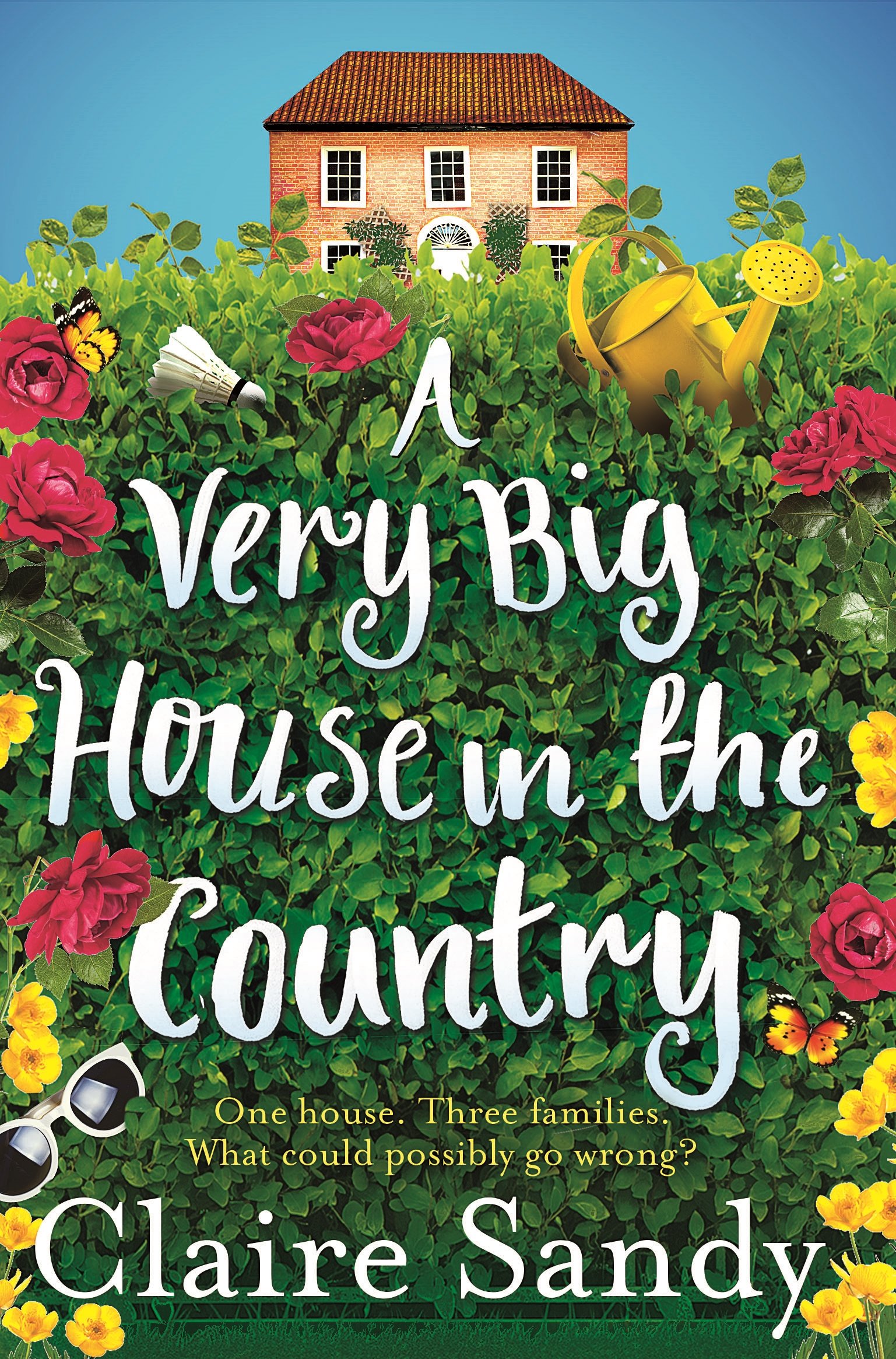 A Very Big House in the Country [Paperback] Sandy