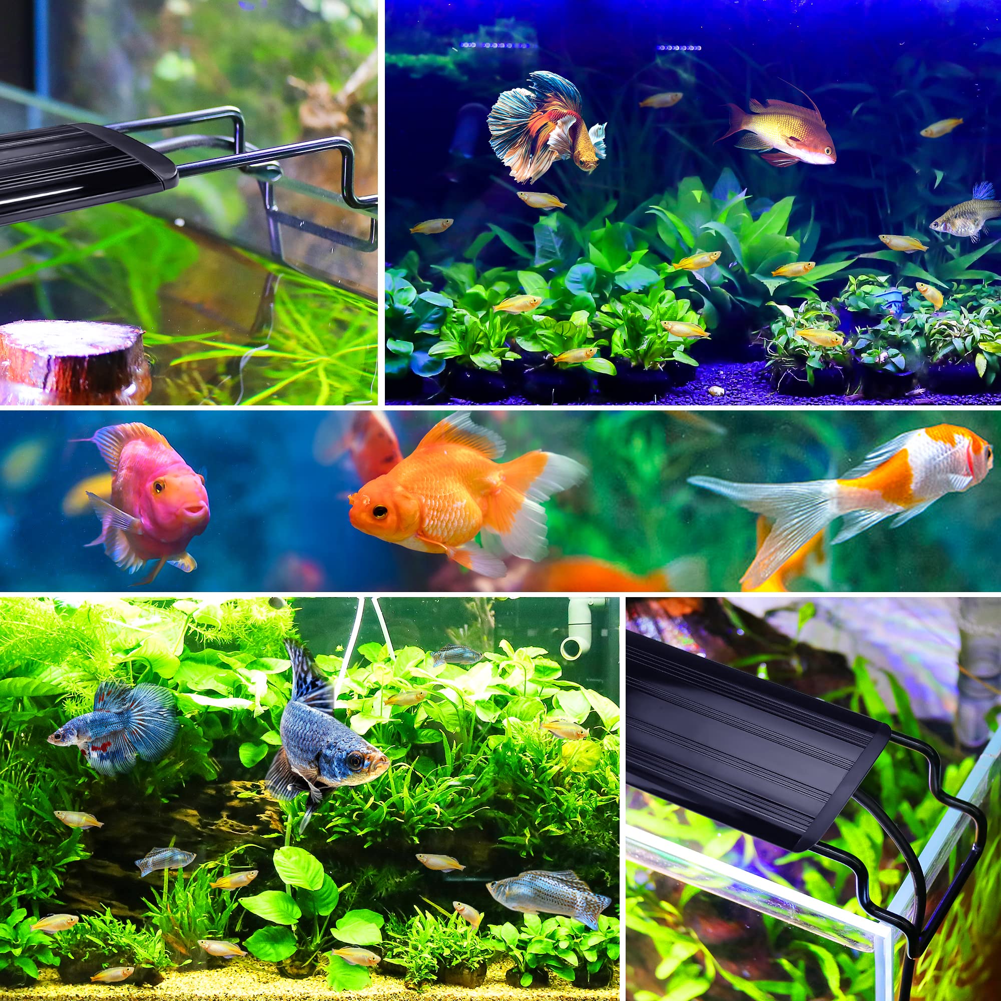 Éclairage Aquarium, Rampe LED d’Aquarium Spectre Complet avec Contrôleur, 10 Niveaux de Luminosité Réglables, Minuterie réglable 6/10/12 Heures. Acrylonitrile butadiène styrène