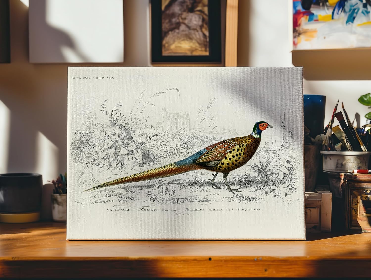Poster Master Ring Necked Pheasant Canvas - Retro Wildlife Print - Bird Wall Art - Gift for Men, Women & Animal Lover - Great Decor for Office, Bedroom or Living Room - 8x10 STRETCHED Canvas