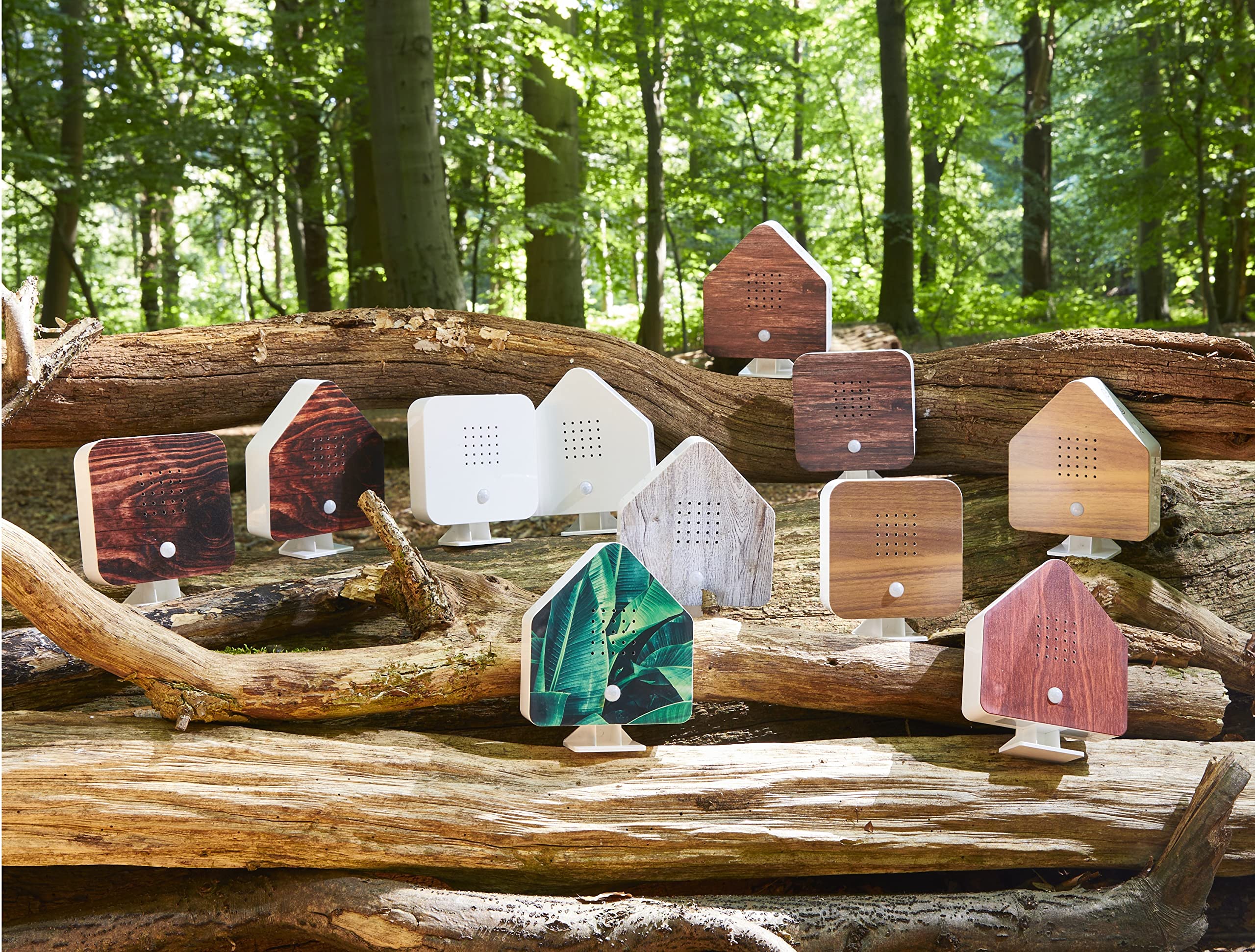 Northpoint Naturaleza Soundbox - Caja de sonido para pájaros, detector de movimiento, luz recargable con soporte de pared, haya cuadrada