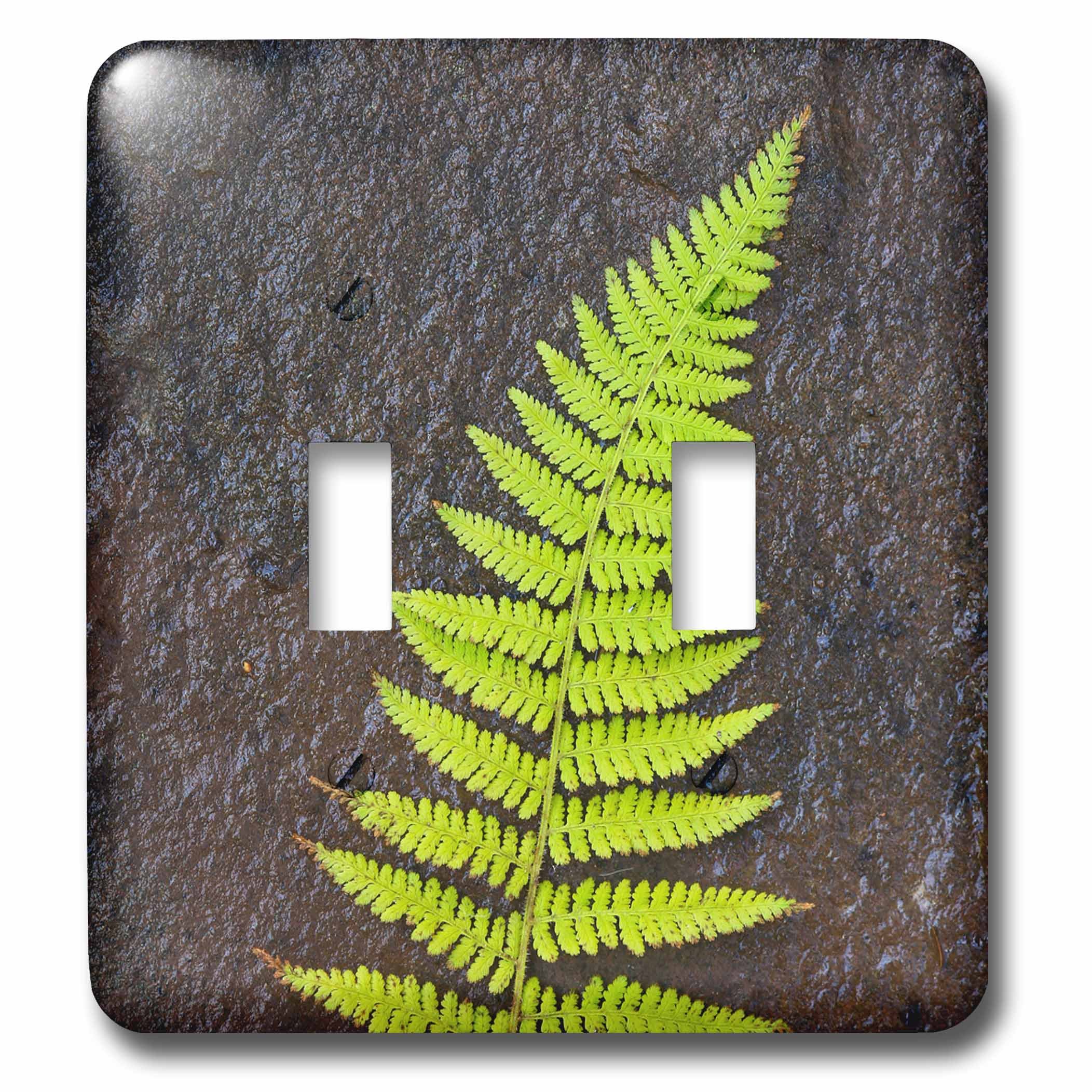 Couvercle d'interrupteur de lumière variant plaque murale décorative 3dRose lsp_277247_2