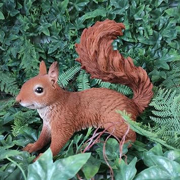 Vivid Arts Real Life Running Red Squirrel | Resin Home or Garden Decoration | XRL-RS10-D