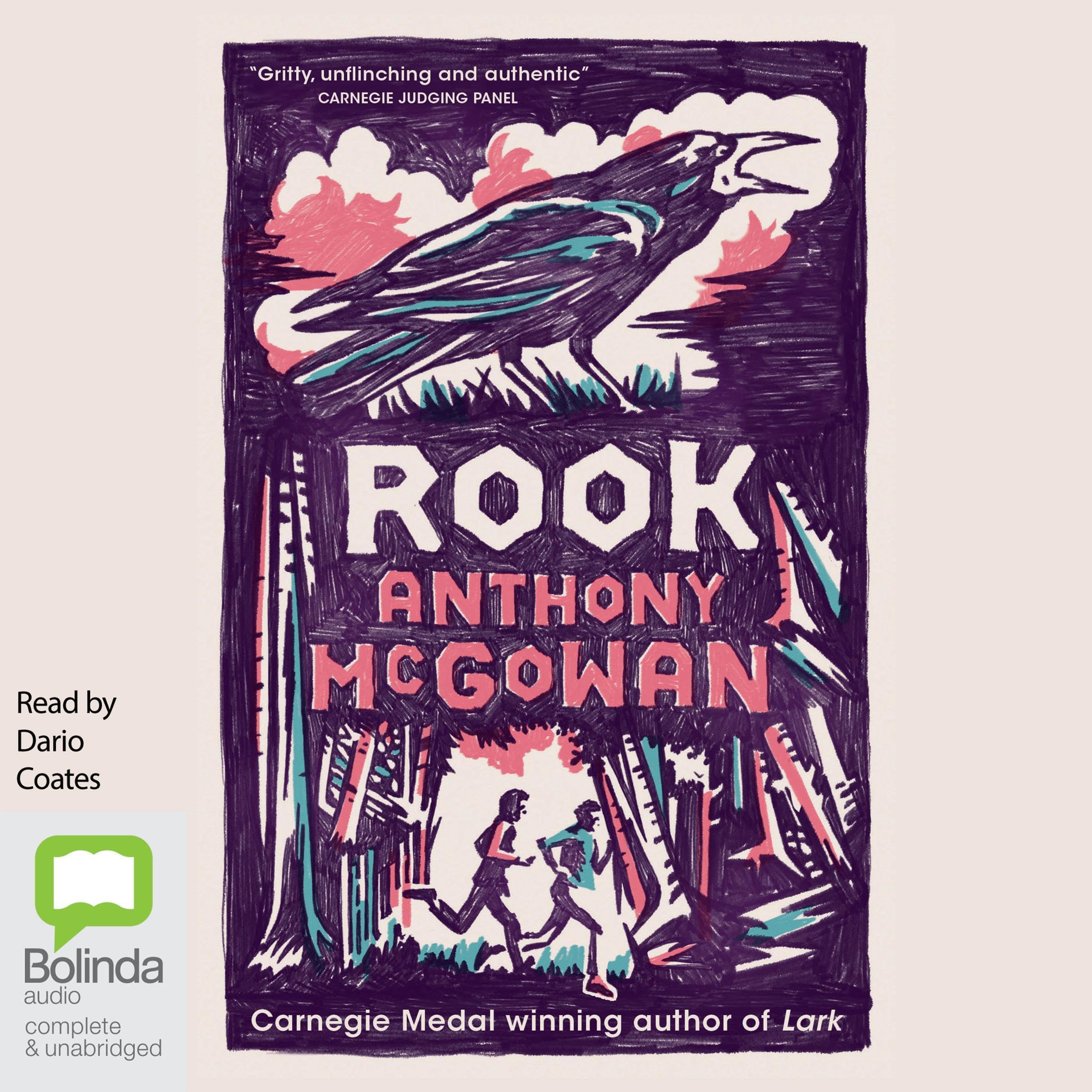 Cover art for Rook