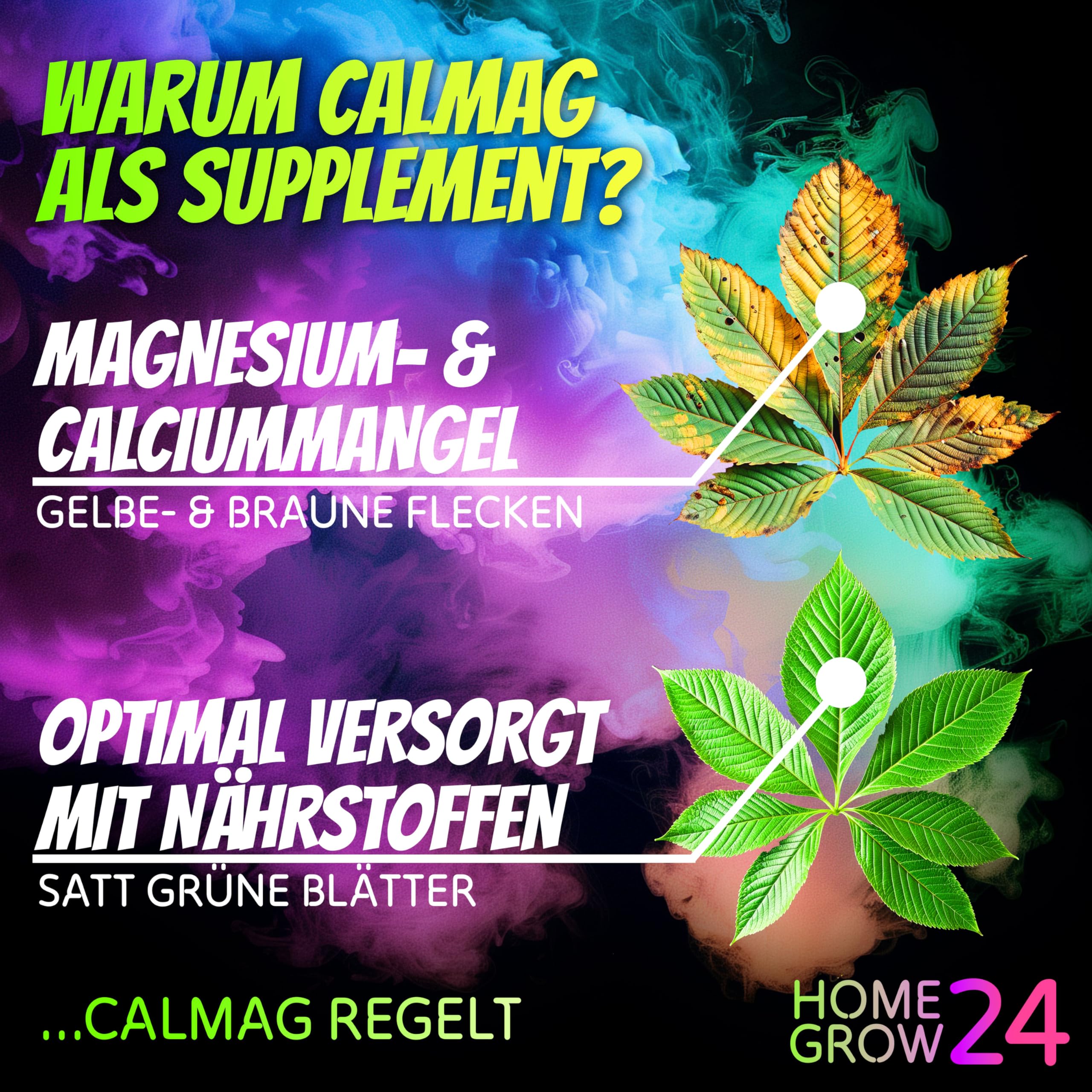 magnesium dünger cannabis Hanf Dünger Indoor Grow Green Grower Blütedünger 0,5L – Für Cannabis, Hanf,  Indoor-Grow, Mineralisch & Schnellwirkend Mungbohnen Bio main image 0