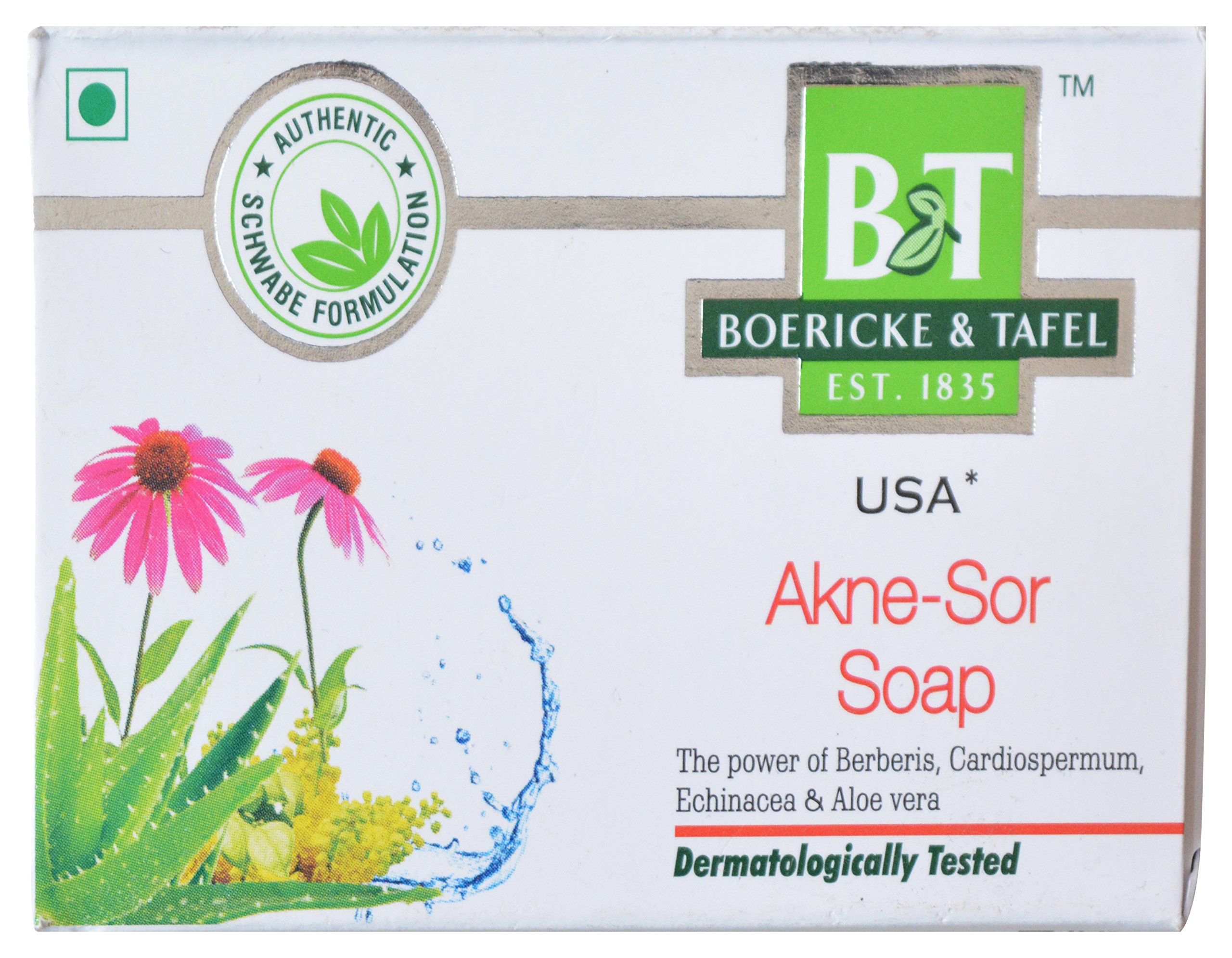 Boericke & Tafel Akne-Sor Soap, 75 g